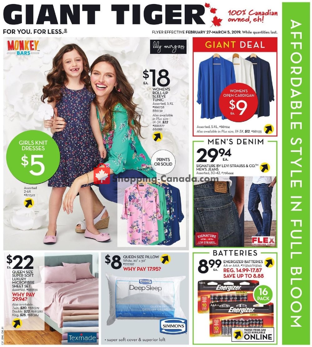 Giant Tiger flyer from Wednesday February 27, 2019 to Tuesday March 5, 2019 - page 5