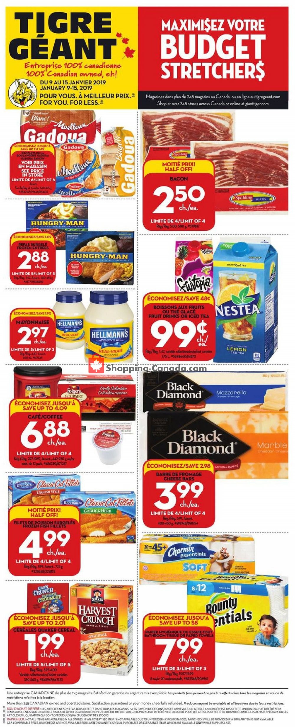 Giant Tiger flyer from Wednesday January 9, 2019 to Tuesday January 15, 2019 - page 2