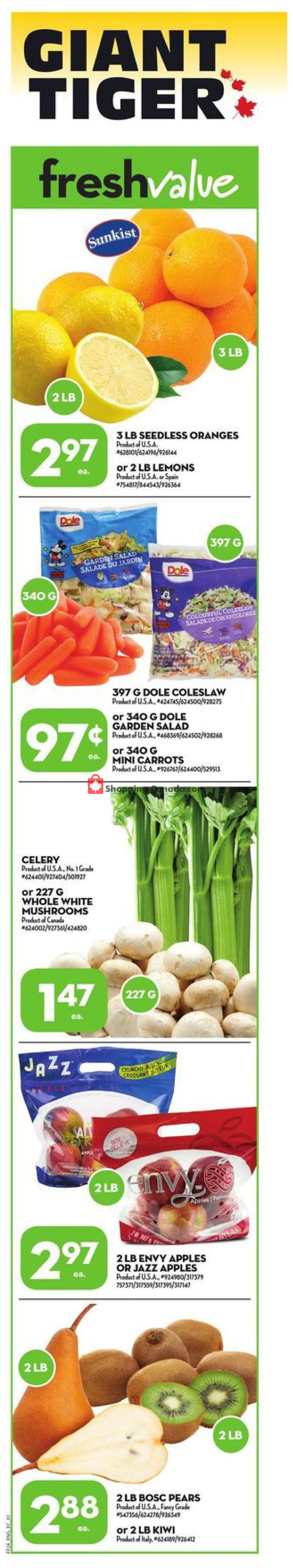 Giant Tiger flyer from Wednesday January 15, 2020 to Tuesday January 21, 2020 - page 1