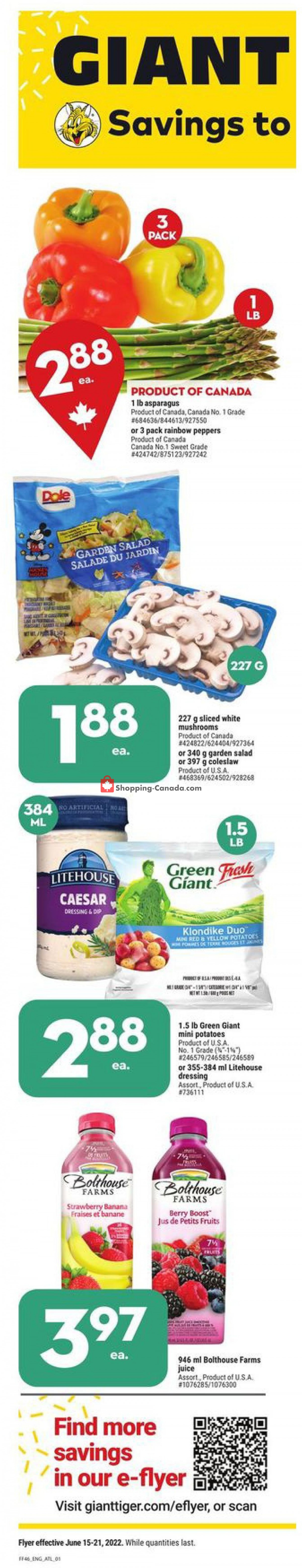 Giant Tiger Canada, flyer (Special Offer Atlantic) June 15 June