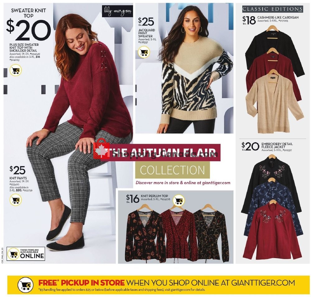 Giant Tiger flyer from Wednesday October 2, 2019 to Tuesday October 8, 2019 - page 11