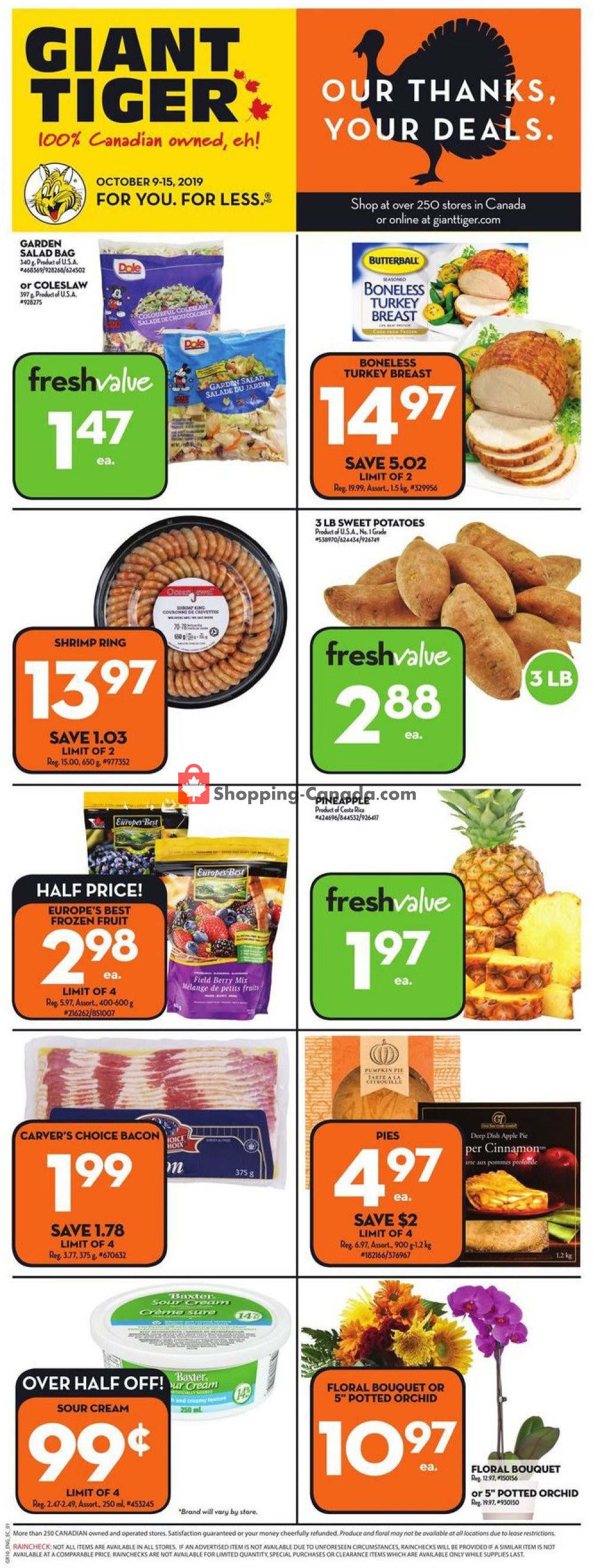 Giant Tiger flyer from Wednesday October 9, 2019 to Tuesday October 15, 2019 - page 3