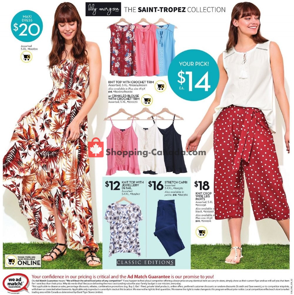 Giant Tiger flyer from Wednesday June 26, 2019 to Tuesday July 2, 2019 - page 9