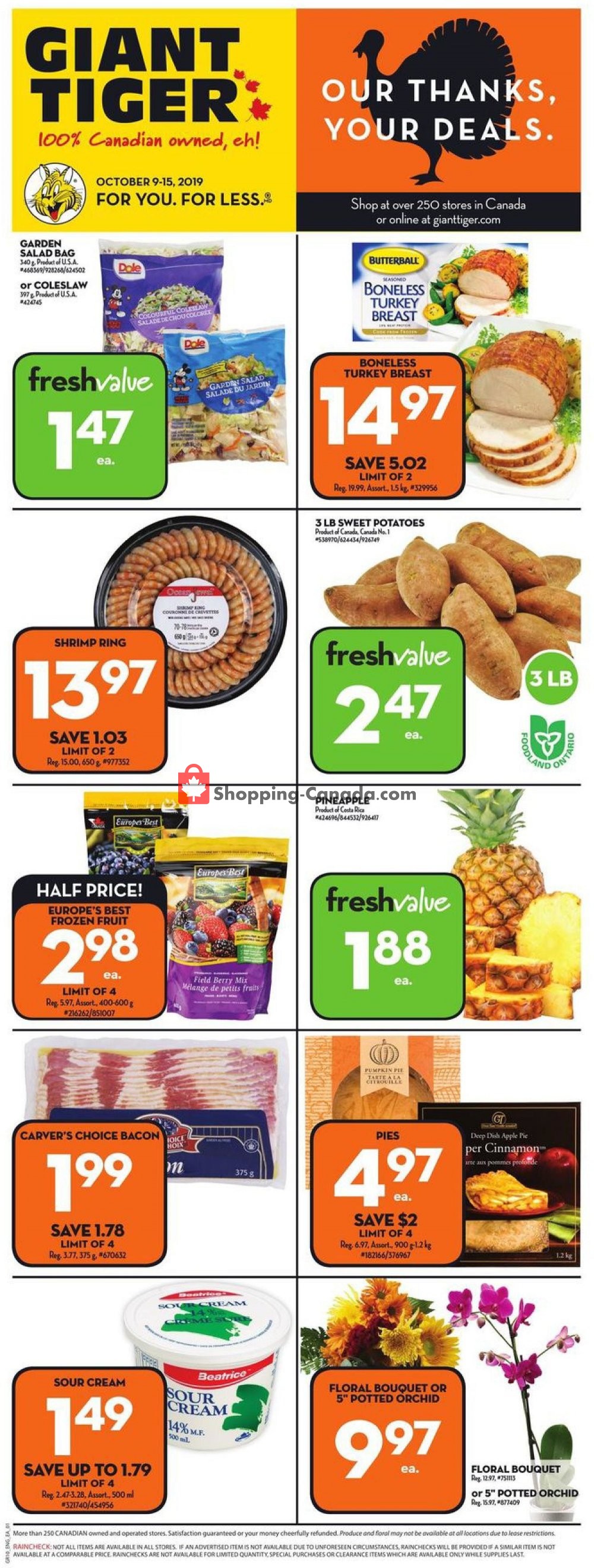 Giant Tiger flyer from Wednesday October 9, 2019 to Tuesday October 15, 2019 - page 3