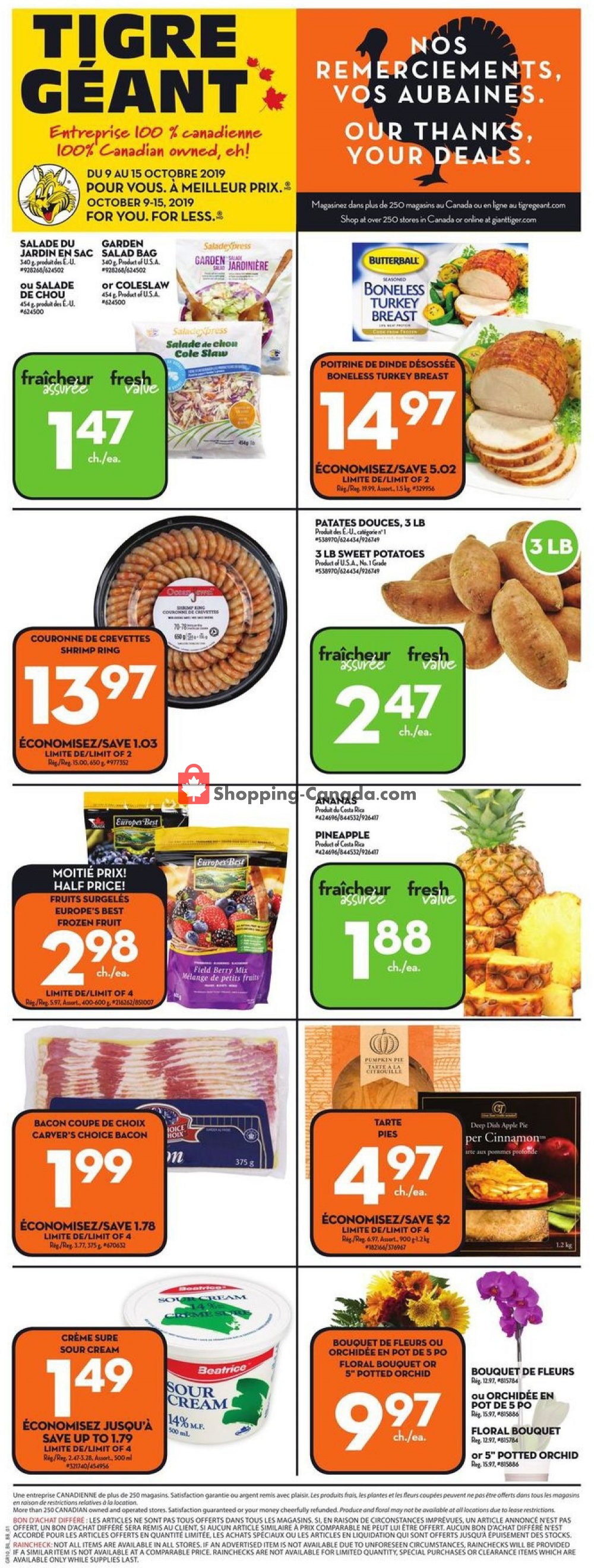 Giant Tiger flyer from Wednesday October 9, 2019 to Tuesday October 15, 2019 - page 3