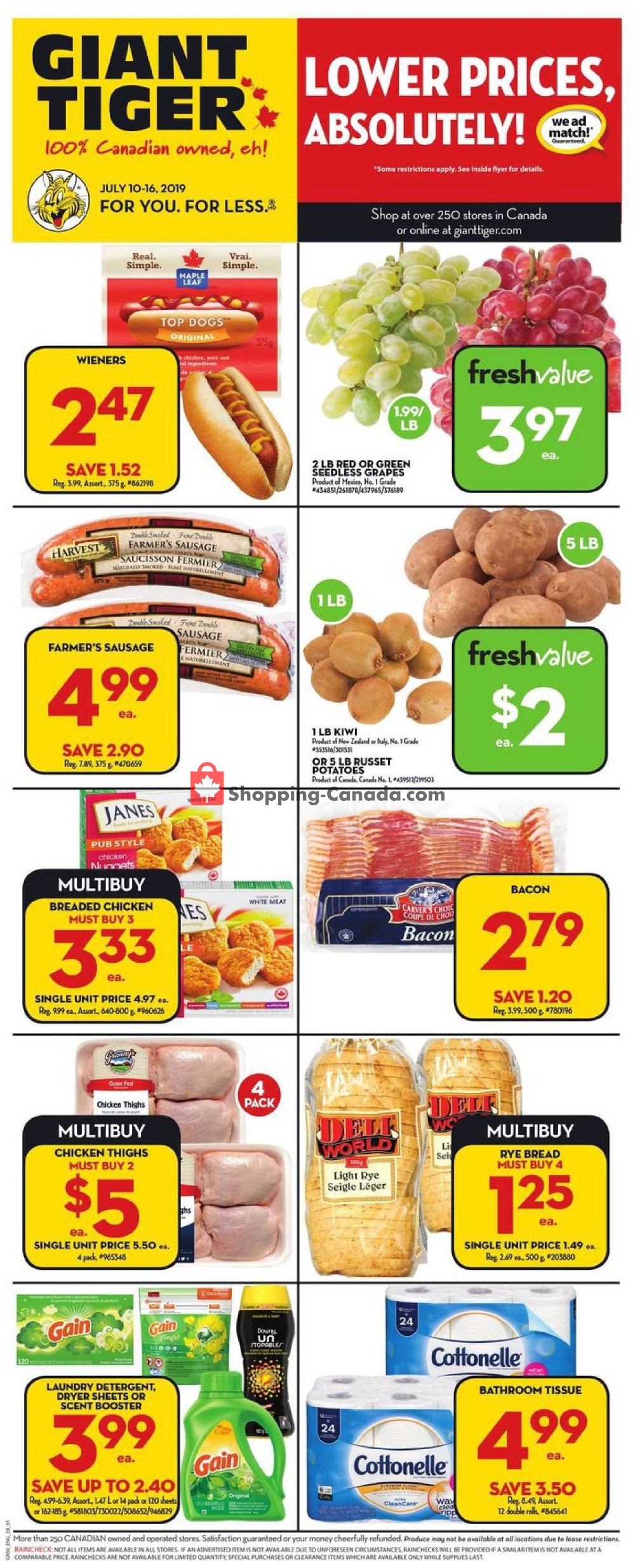 Giant Tiger flyer from Wednesday July 10, 2019 to Tuesday July 16, 2019 - page 1