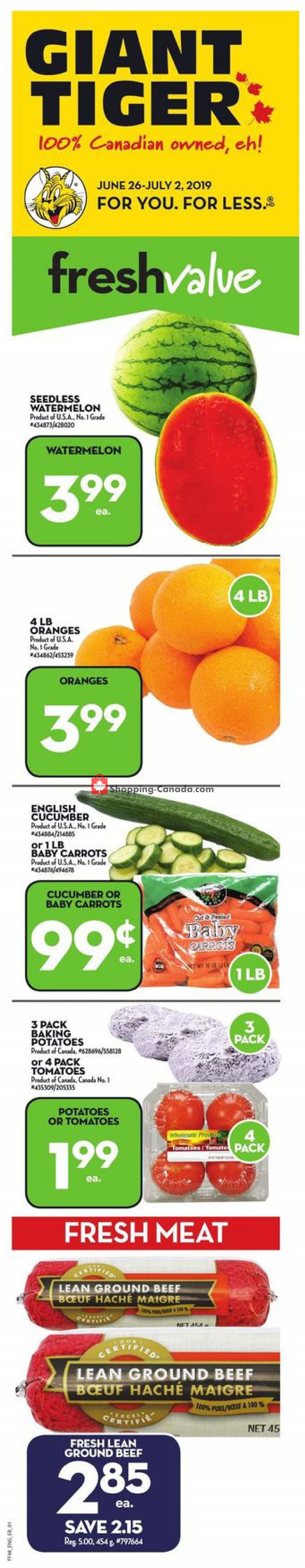 Giant Tiger flyer from Wednesday June 26, 2019 to Tuesday July 2, 2019 - page 1
