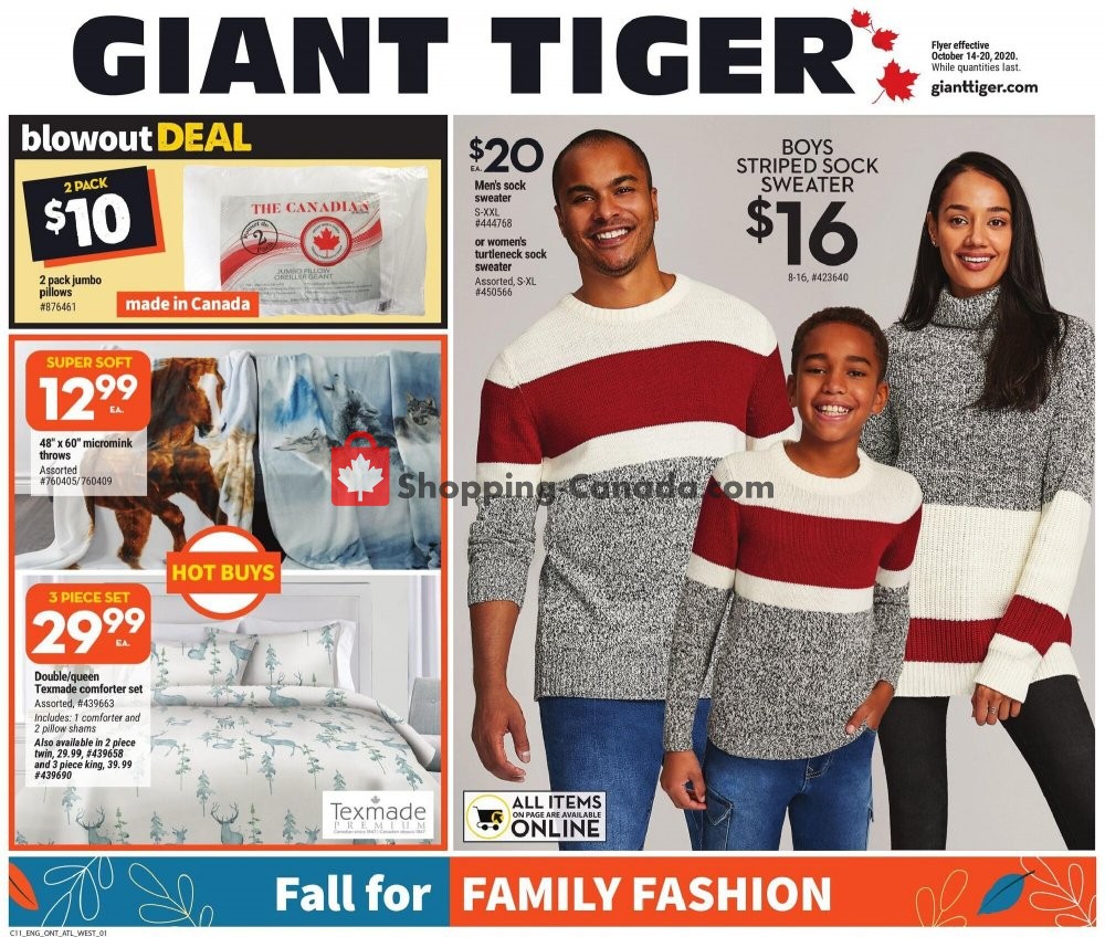 Giant Tiger flyer from Wednesday October 14, 2020 to Tuesday October 20, 2020 - page 9