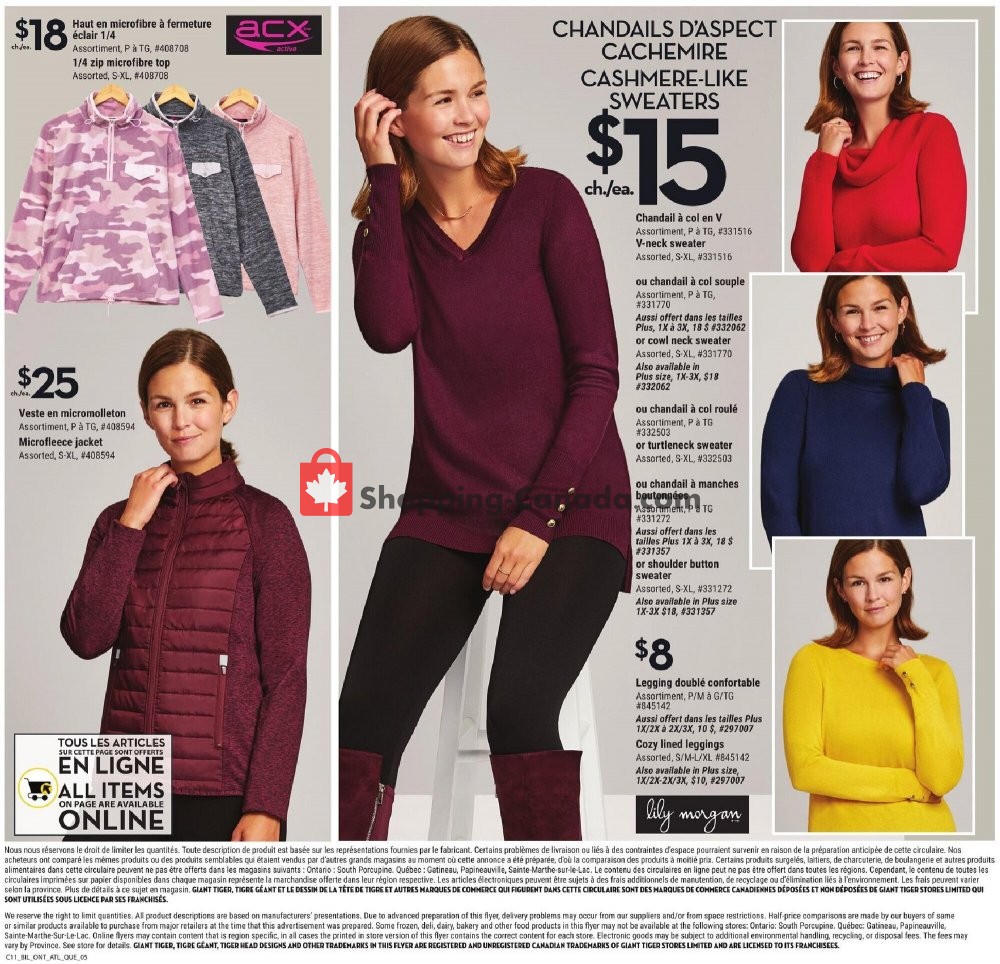 Giant Tiger flyer from Wednesday October 14, 2020 to Tuesday October 20, 2020 - page 13