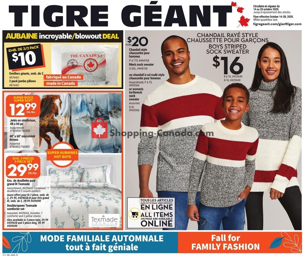 Giant Tiger flyer from Wednesday October 14, 2020 to Tuesday October 20, 2020 - page 9