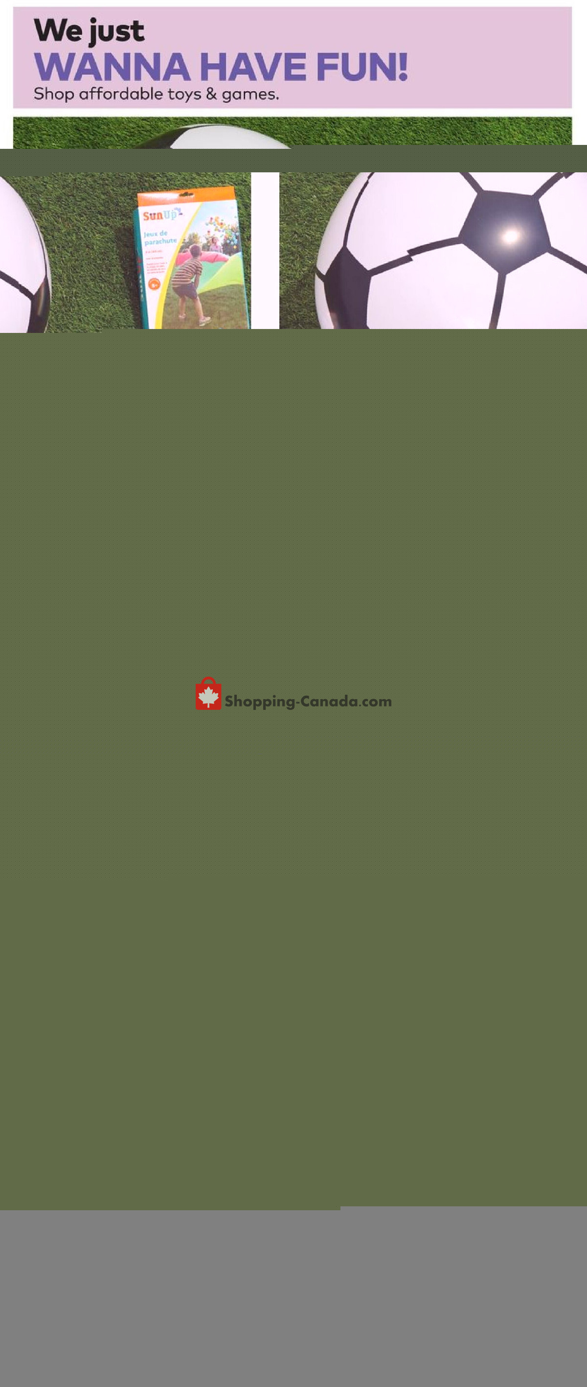 Giant Tiger flyer from Wednesday March 27, 2024 to Tuesday April 2, 2024 - page 11