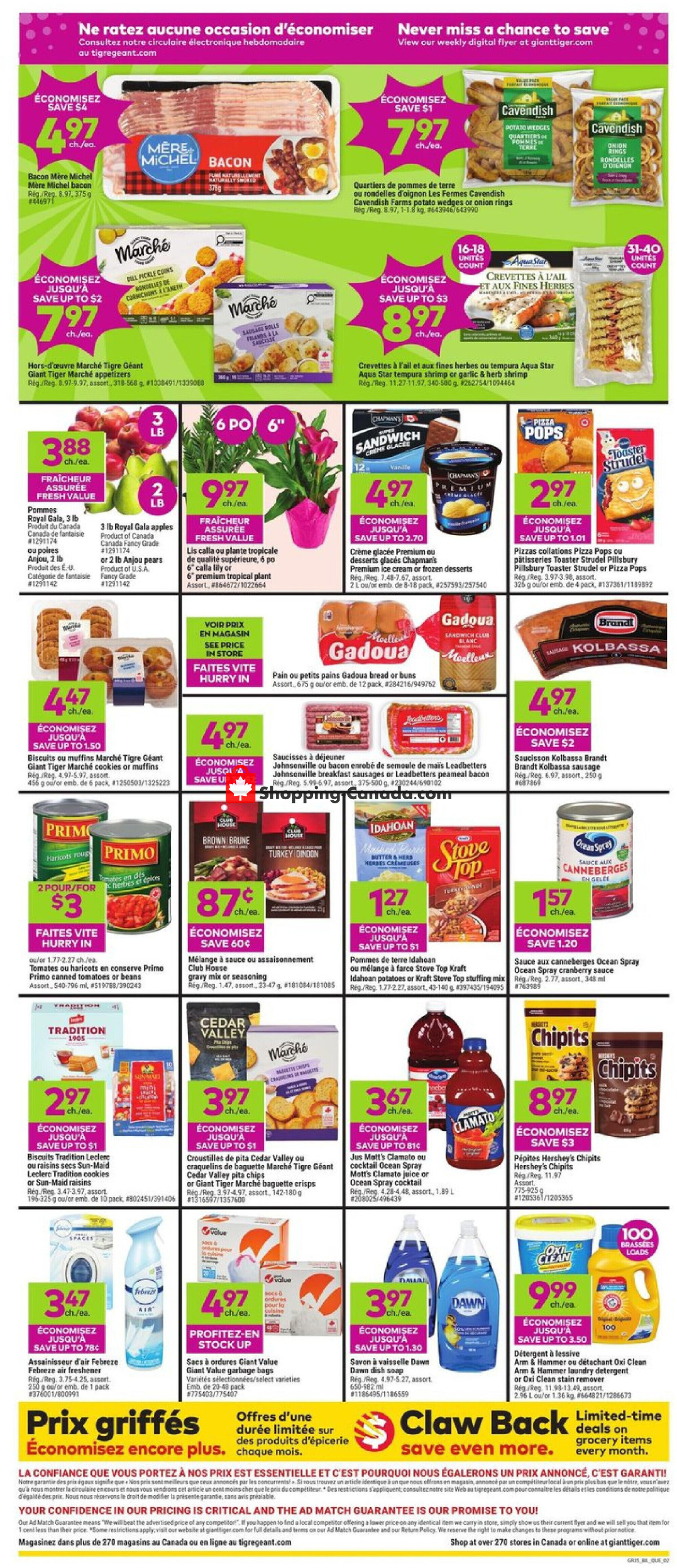 Giant Tiger flyer from Wednesday March 27, 2024 to Tuesday April 2, 2024 - page 26