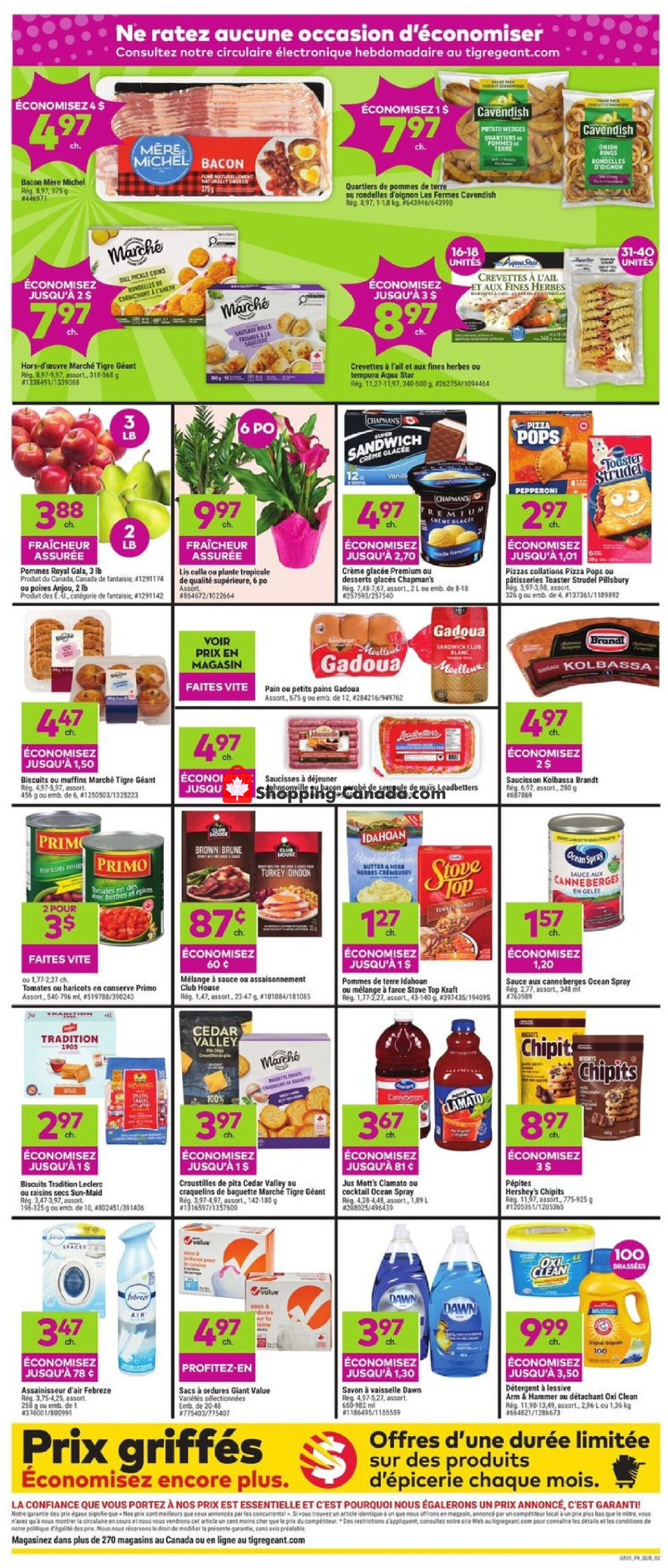 Giant Tiger flyer from Wednesday March 27, 2024 to Tuesday April 2, 2024 - page 24