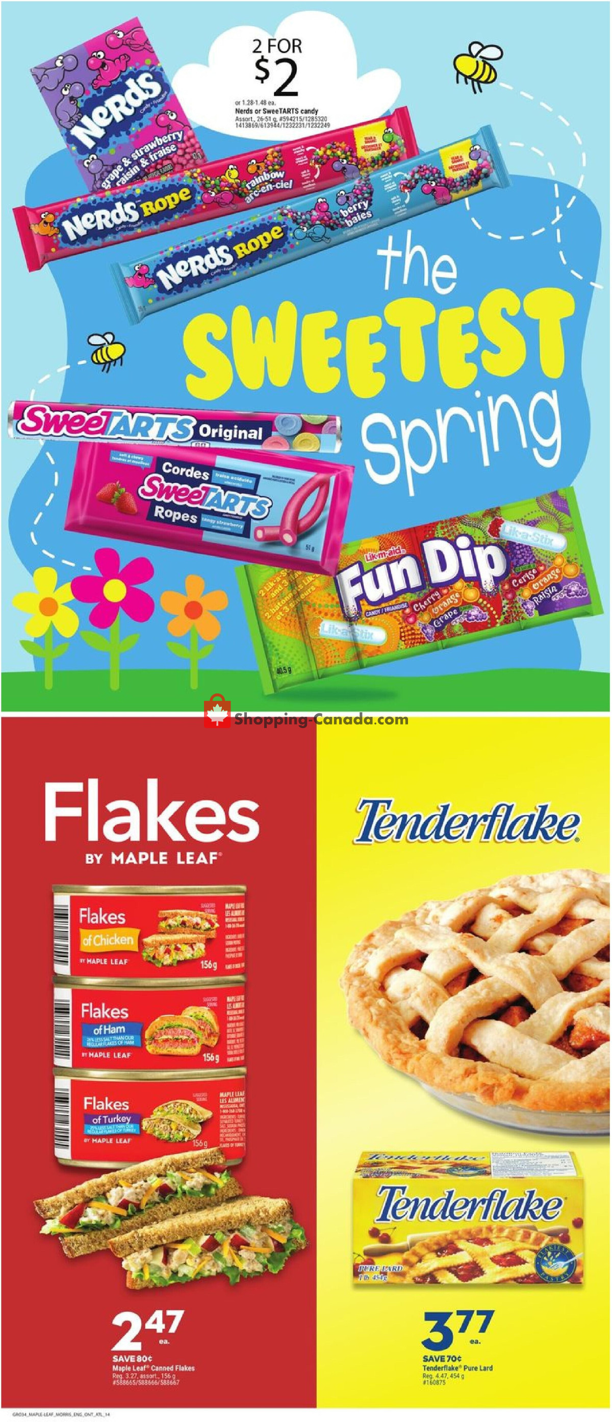 Giant Tiger flyer from Wednesday March 20, 2024 to Tuesday March 26, 2024 - page 16