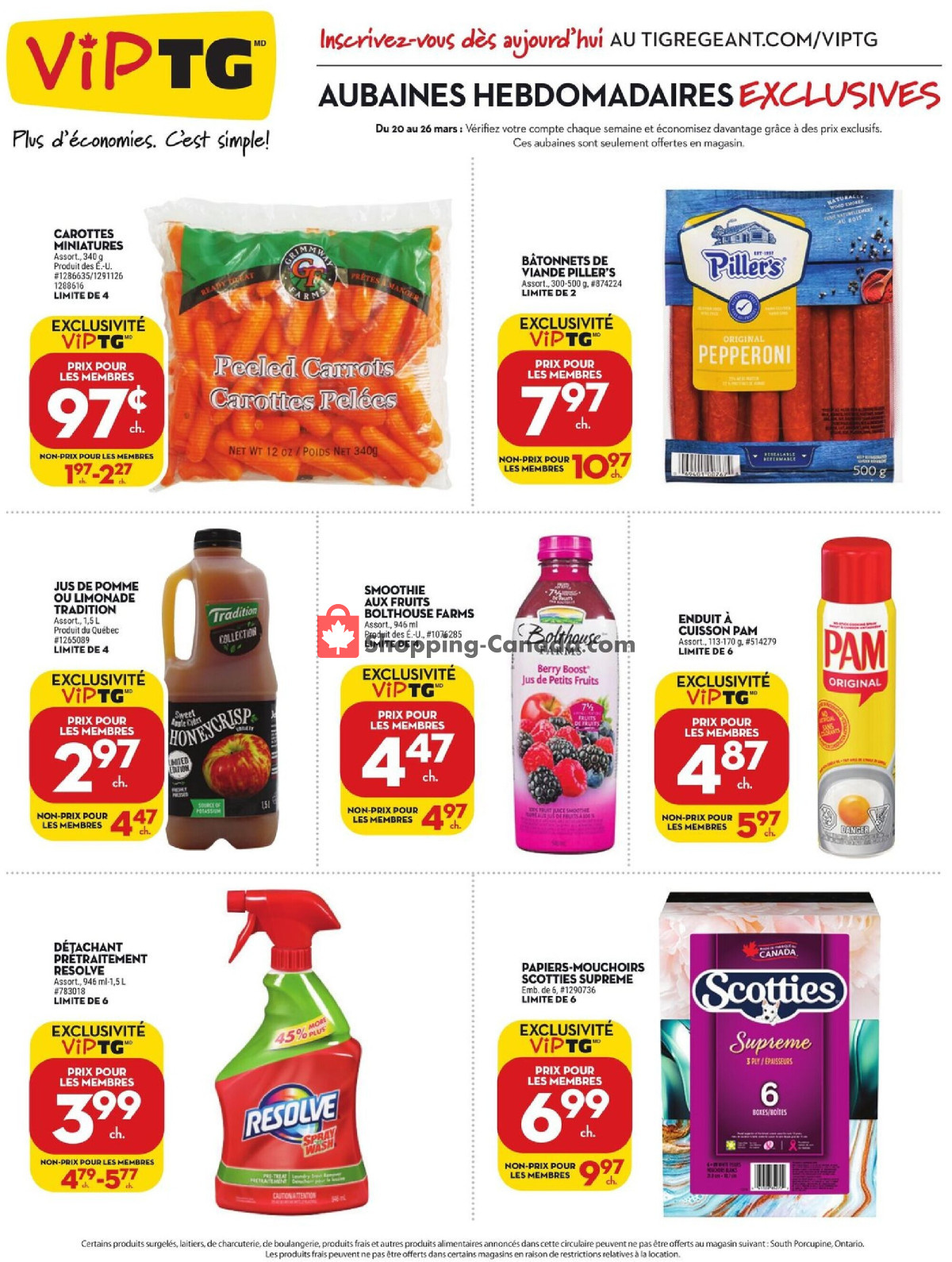 Giant Tiger flyer from Wednesday March 20, 2024 to Tuesday March 26, 2024 - page 4