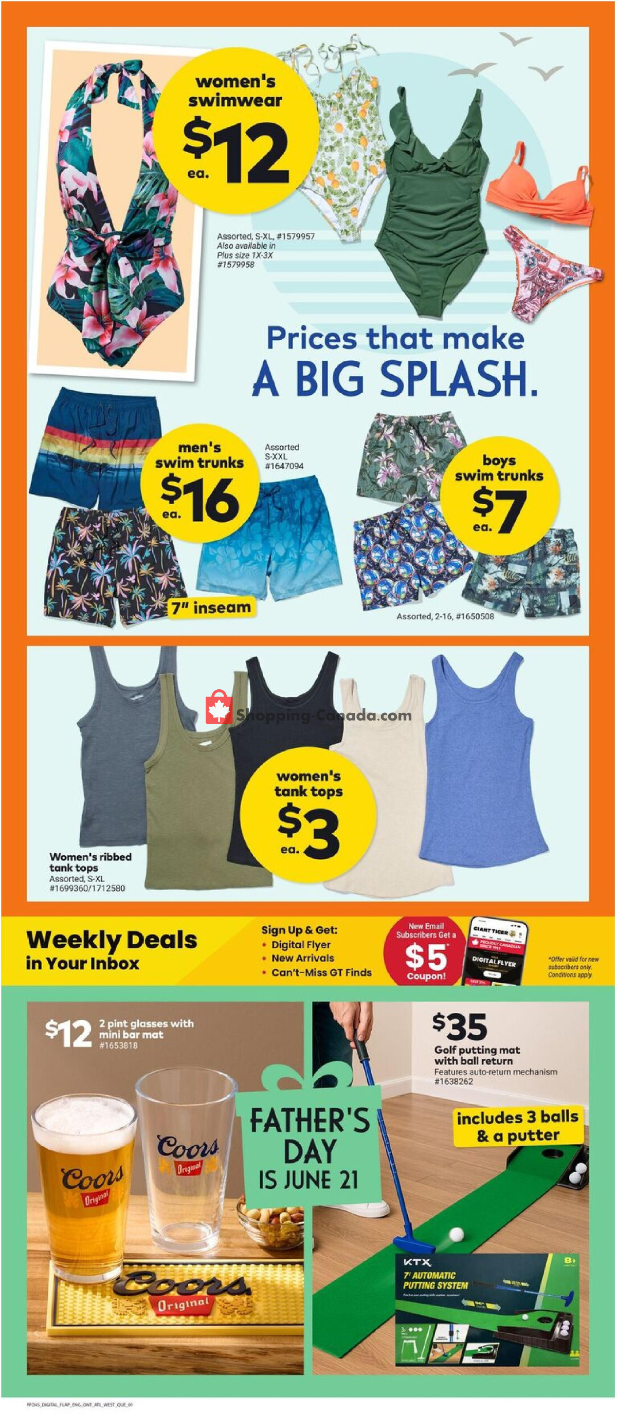 Giant Tiger flyer from Wednesday June 10, 2026 to Tuesday June 16, 2026 - page 3