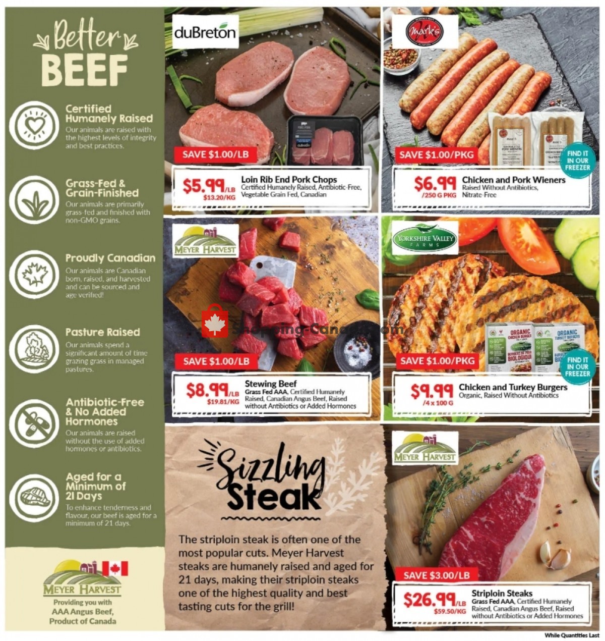Goodness Me flyer from Thursday May 6, 2021 to Wednesday May 19, 2021 - page 4
