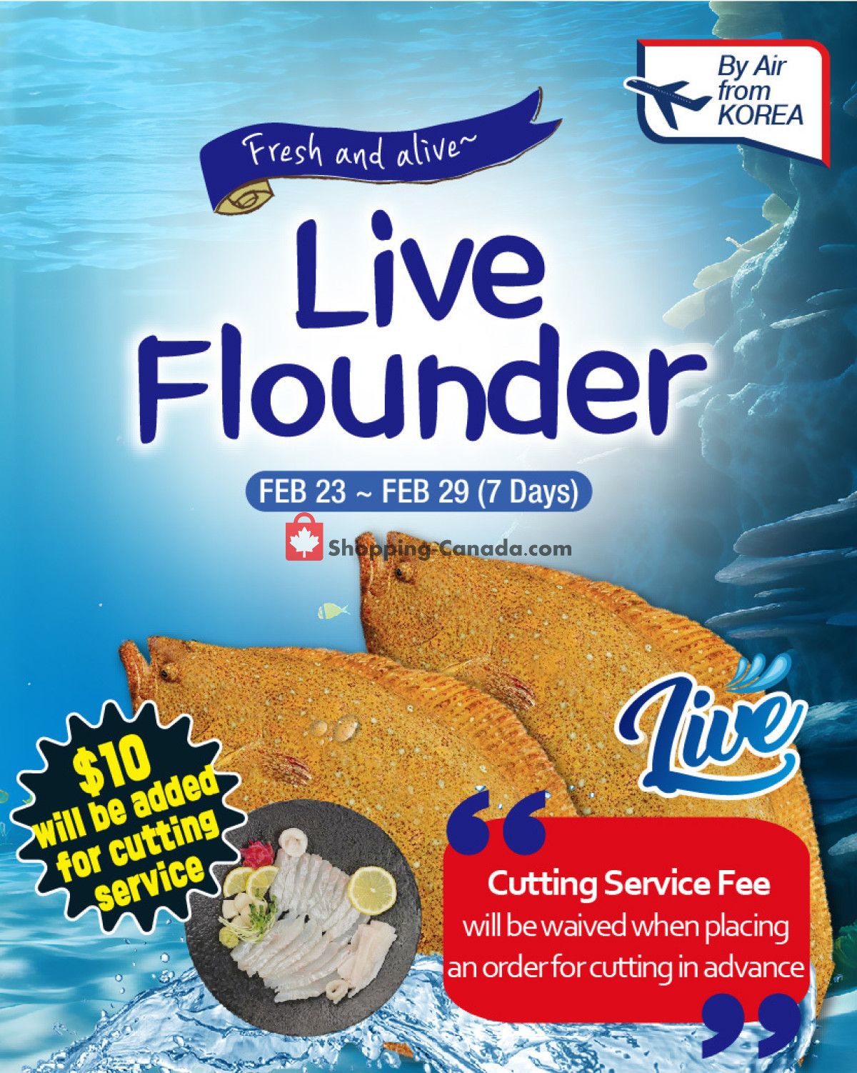 H-Mart flyer from Friday February 23, 2024 to Thursday February 29, 2024 - page 16