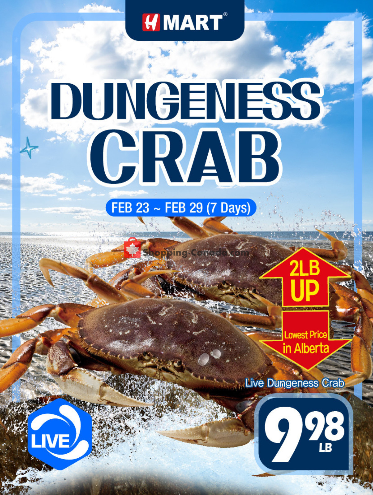 H-Mart flyer from Friday February 23, 2024 to Thursday February 29, 2024 - page 17