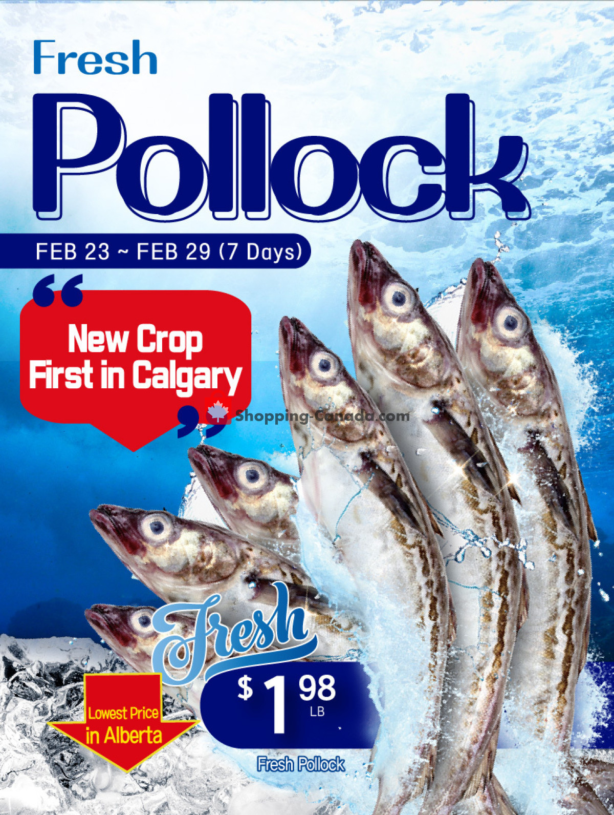 H-Mart flyer from Friday February 23, 2024 to Thursday February 29, 2024 - page 2