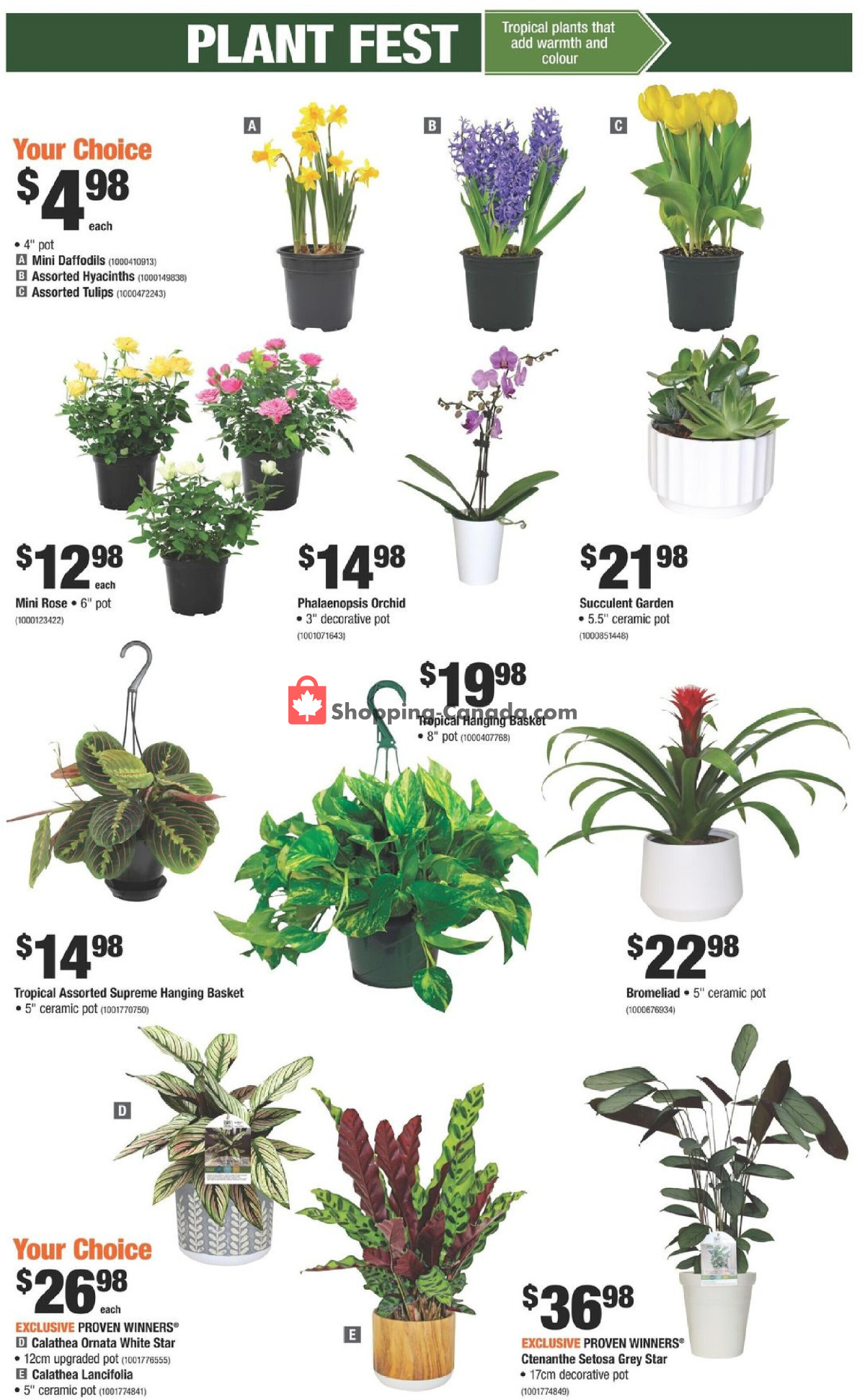 Home Depot flyer from Thursday February 22, 2024 to Wednesday February 28, 2024 - page 12