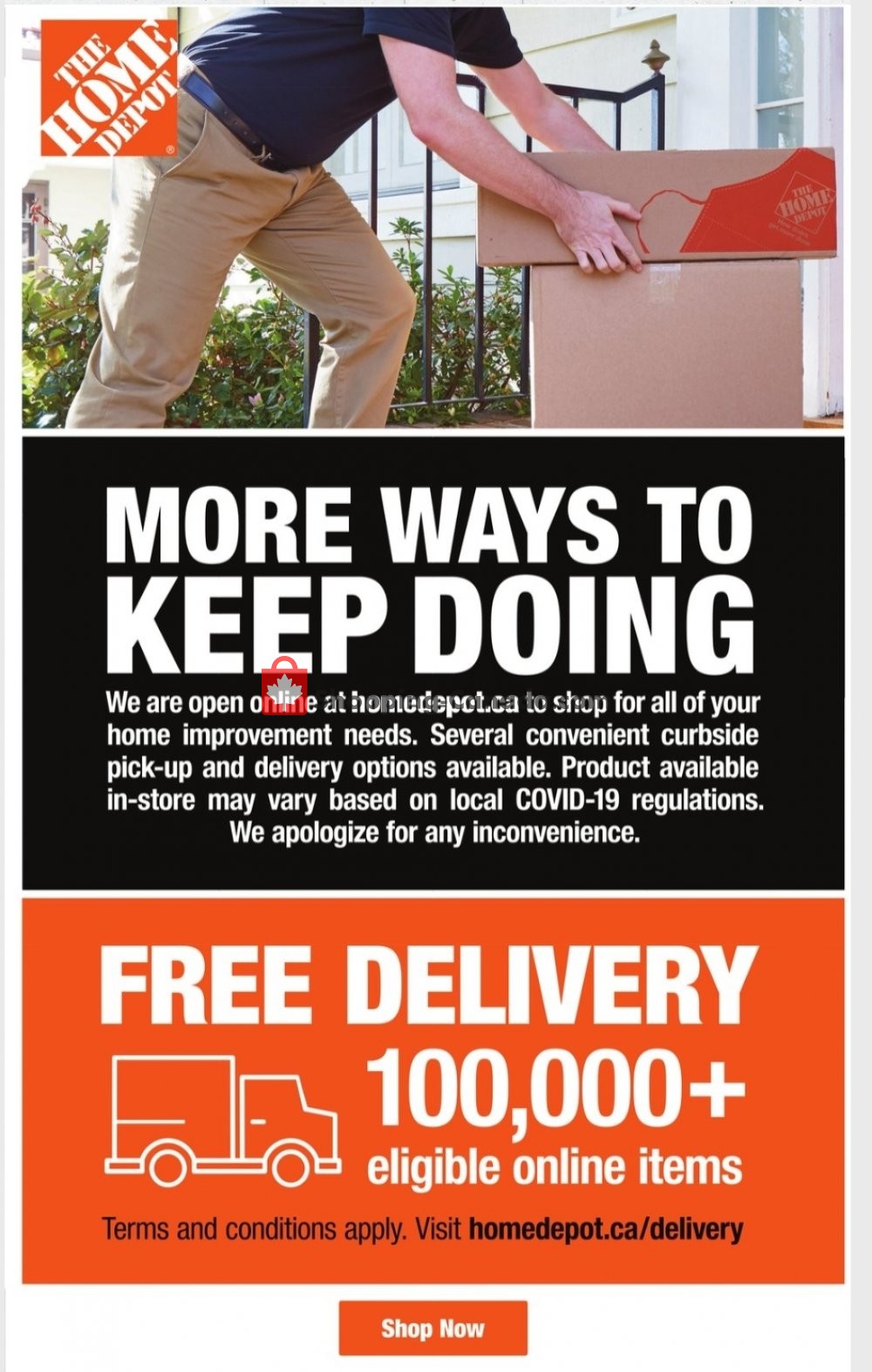 Home Depot flyer from Tuesday January 19, 2021 to Monday February 1, 2021 - page 3
