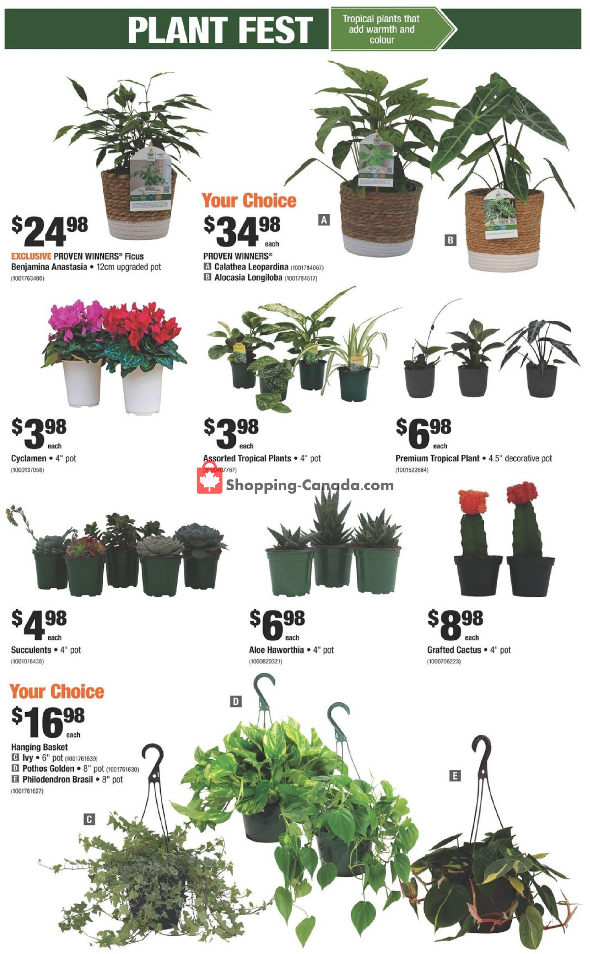 Home Depot flyer from Thursday February 22, 2024 to Wednesday February 28, 2024 - page 12