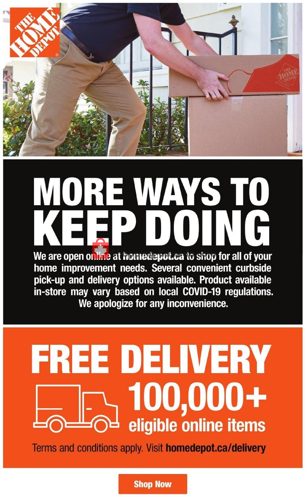 Home Depot flyer from Thursday January 21, 2021 to Wednesday January 27, 2021 - page 3