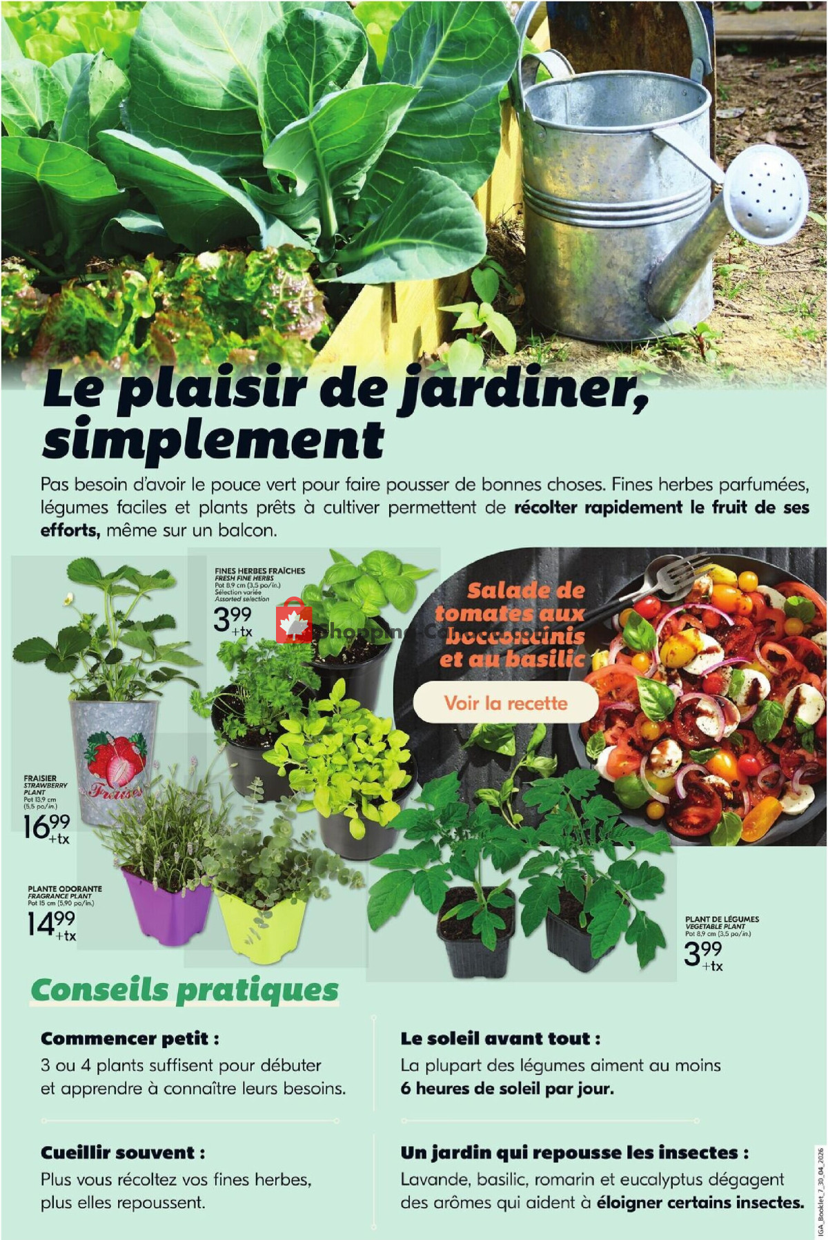 IGA Extra flyer from Thursday April 30, 2026 to Wednesday May 6, 2026 - page 3