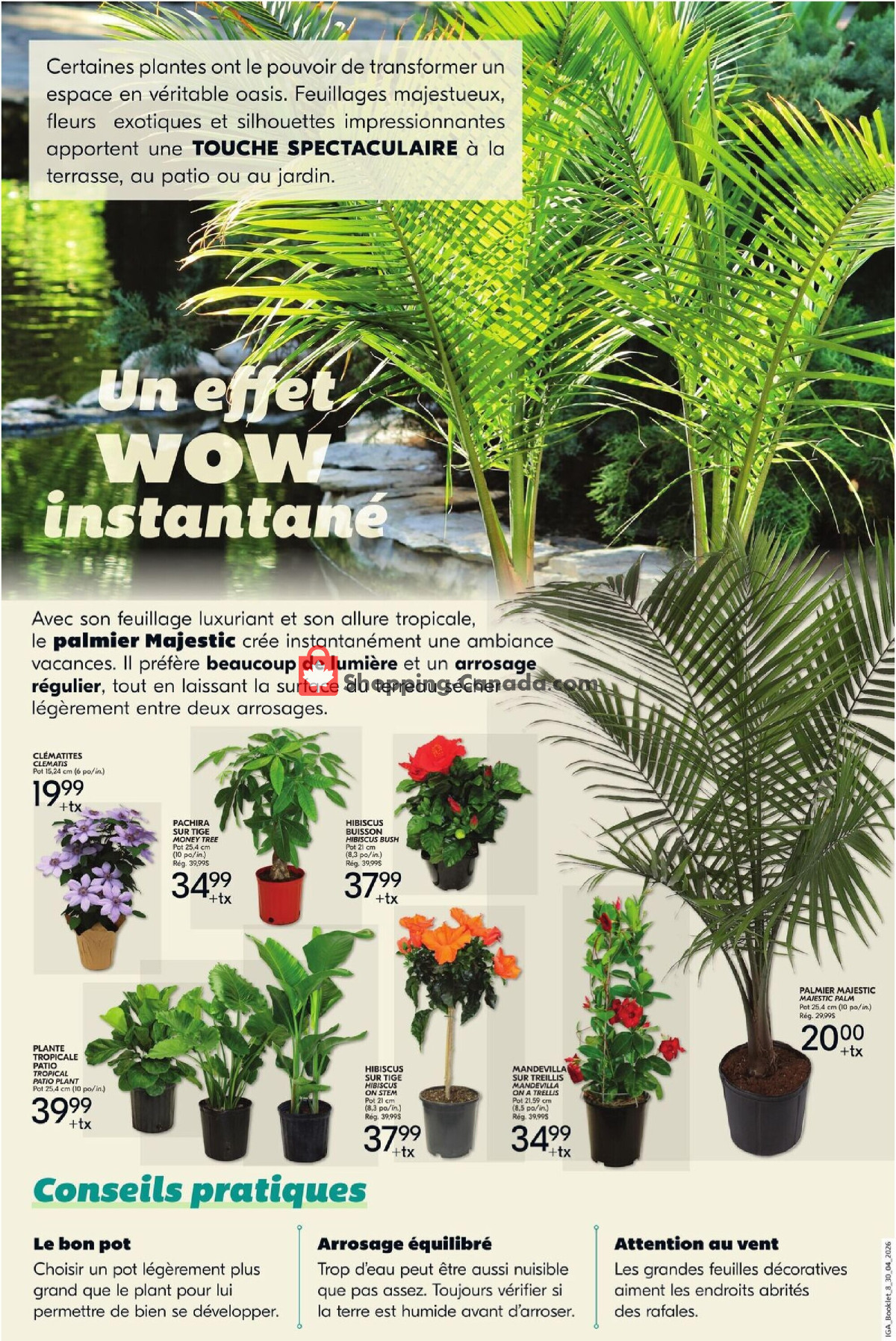 IGA Extra flyer from Thursday April 30, 2026 to Wednesday May 6, 2026 - page 4