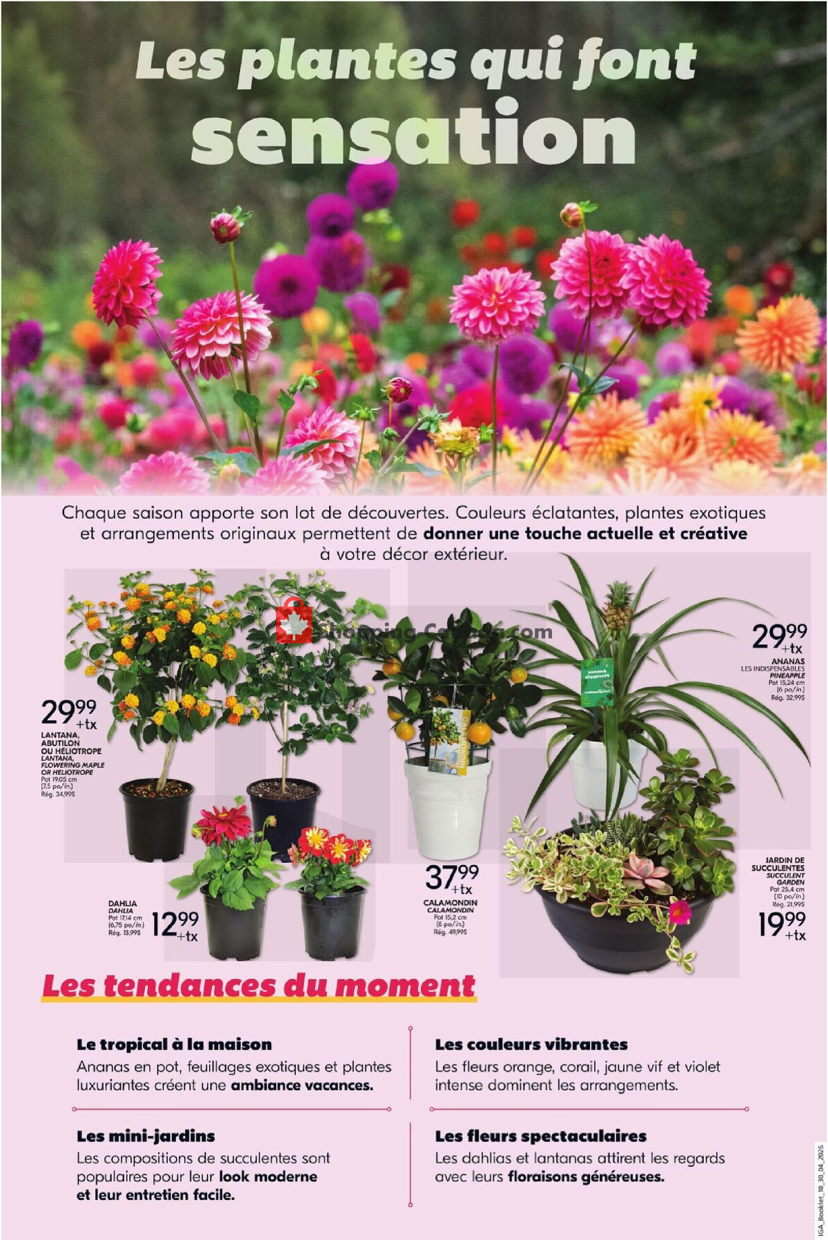 IGA Extra flyer from Thursday April 30, 2026 to Wednesday May 6, 2026 - page 6