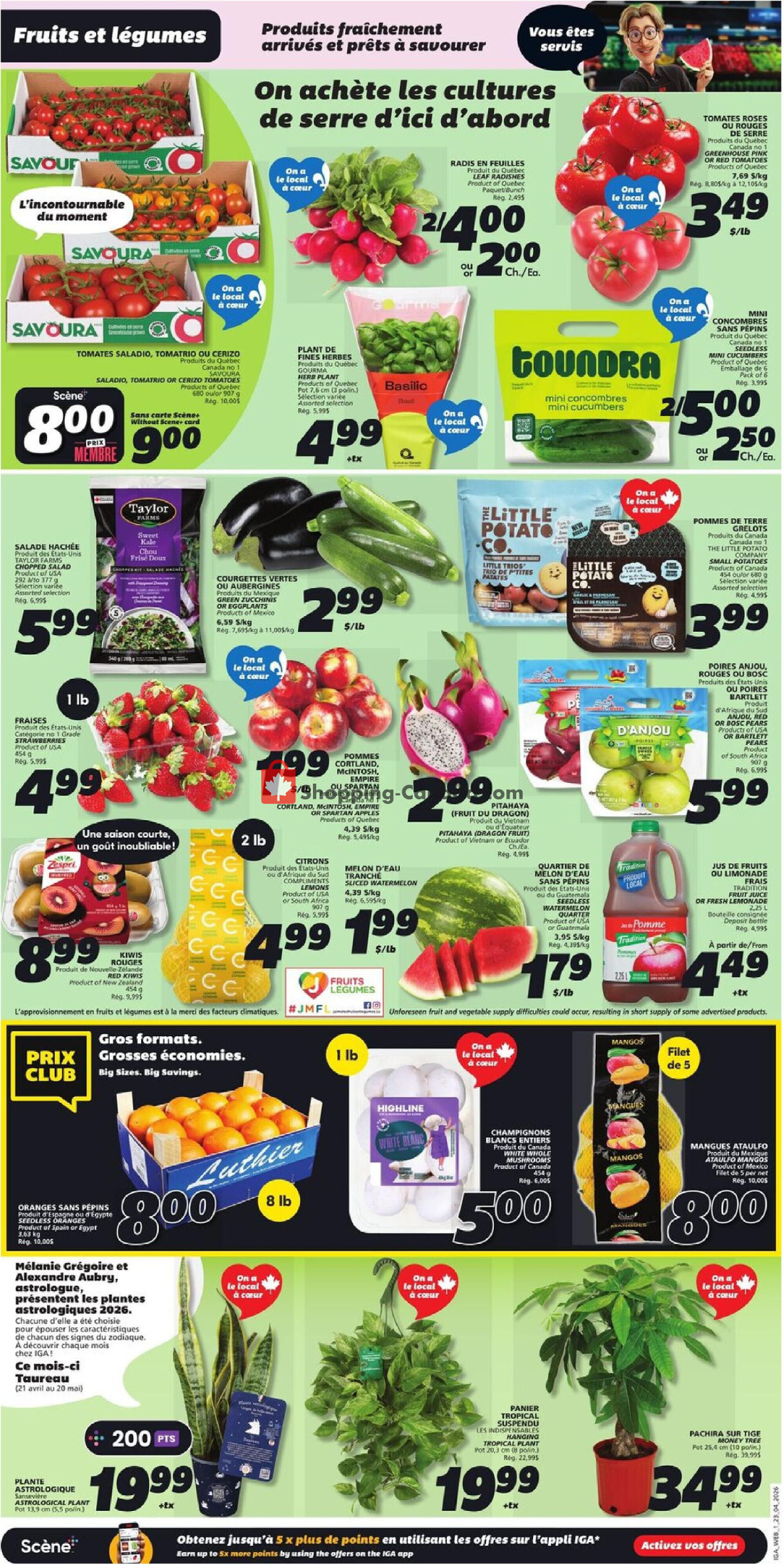 IGA Extra flyer from Thursday April 23, 2026 to Wednesday April 29, 2026 - page 3