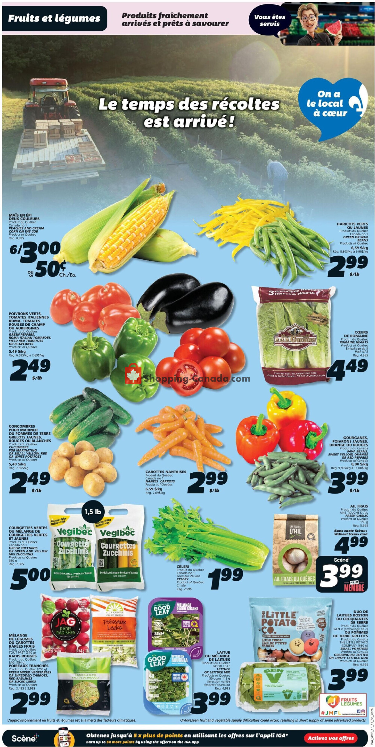 IGA Extra flyer from Thursday August 13, 2026 to Wednesday August 19, 2026 - page 5