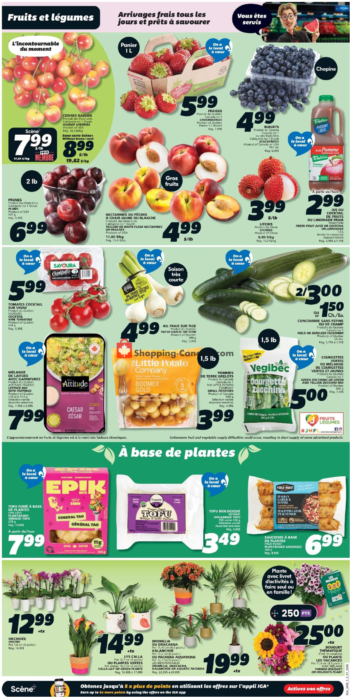 IGA Extra flyer from Thursday July 2, 2026 to Wednesday July 8, 2026 - page 3