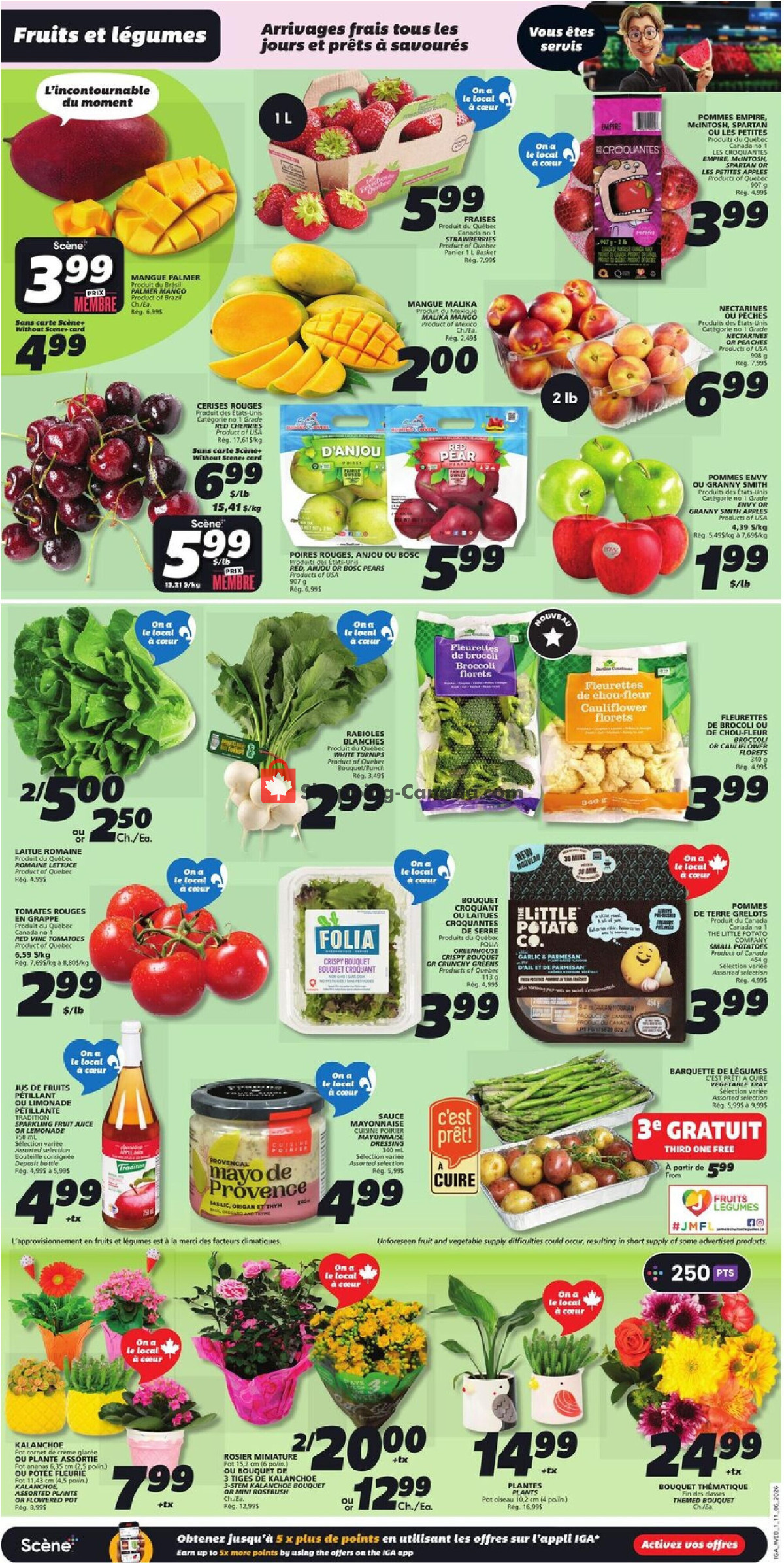 IGA Extra flyer from Thursday June 11, 2026 to Wednesday June 17, 2026 - page 3