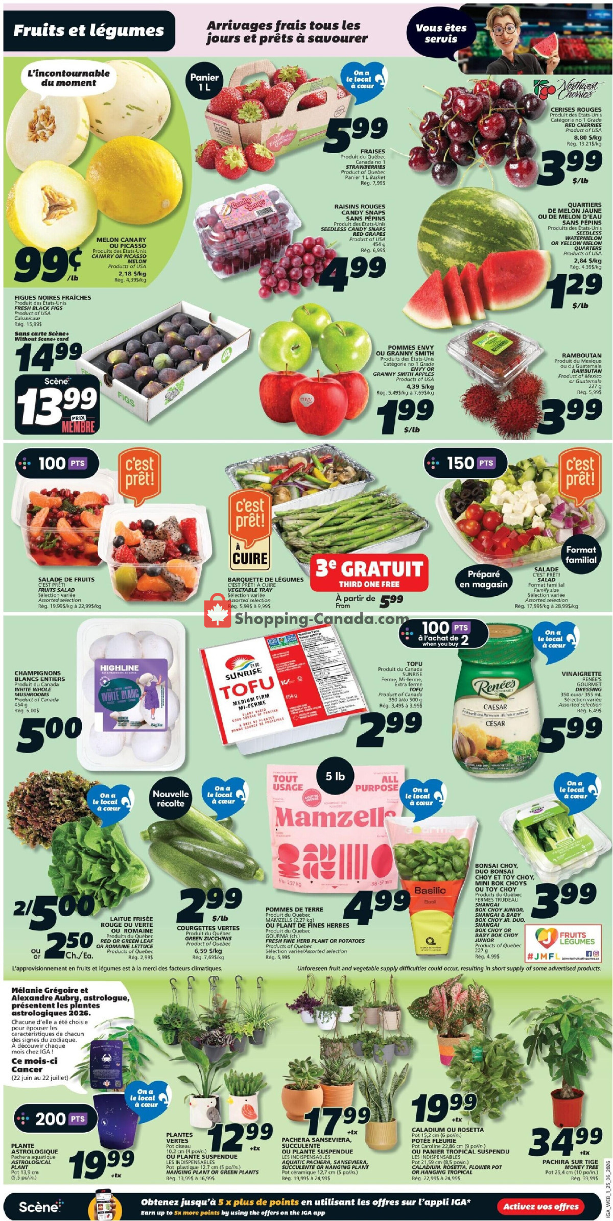 IGA Extra flyer from Thursday June 25, 2026 to Wednesday July 1, 2026 - page 3