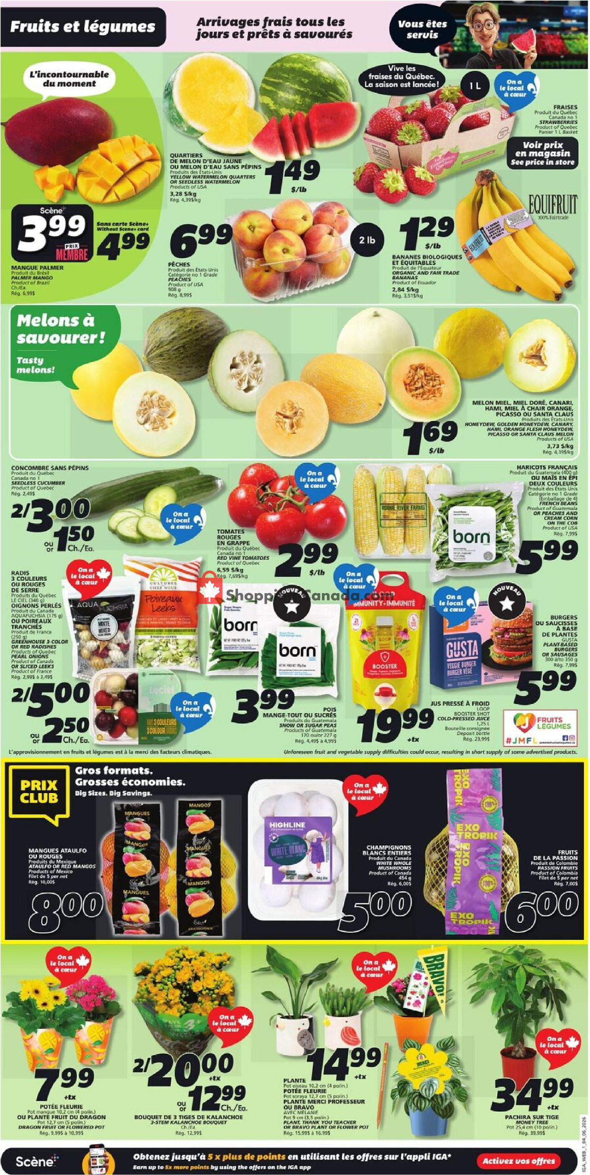 IGA Extra flyer from Thursday June 4, 2026 to Wednesday June 10, 2026 - page 3