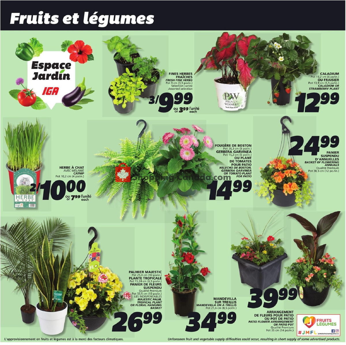 IGA Extra flyer from Thursday May 23, 2024 to Wednesday May 29, 2024 - page 9