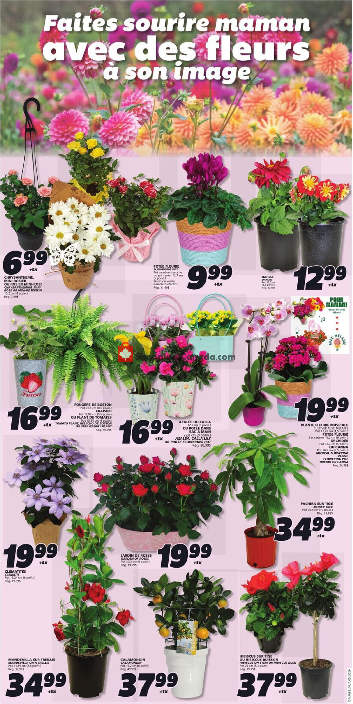 IGA Extra flyer from Thursday May 7, 2026 to Wednesday May 13, 2026 - page 5