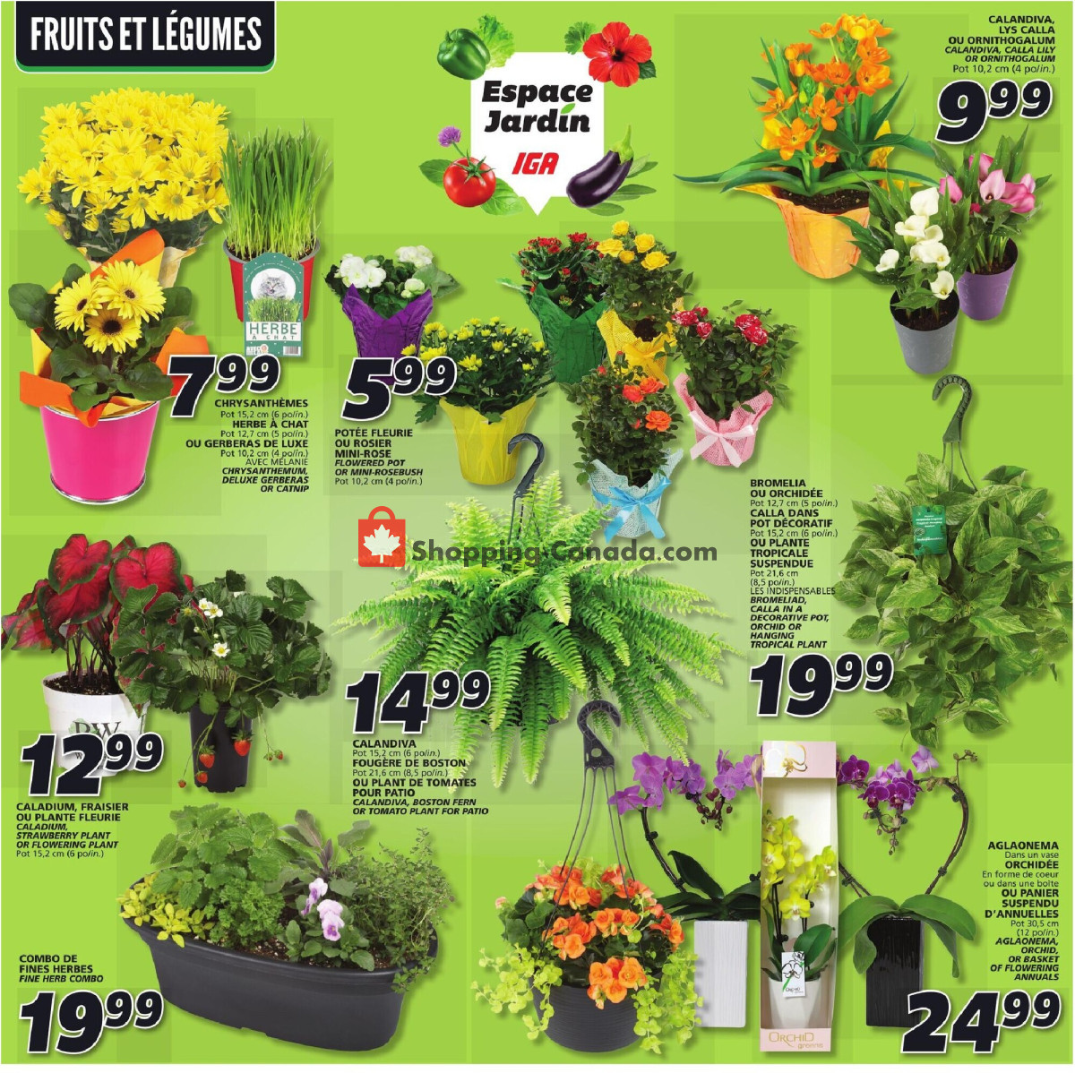 IGA Extra flyer from Thursday May 9, 2024 to Wednesday May 15, 2024 - page 7