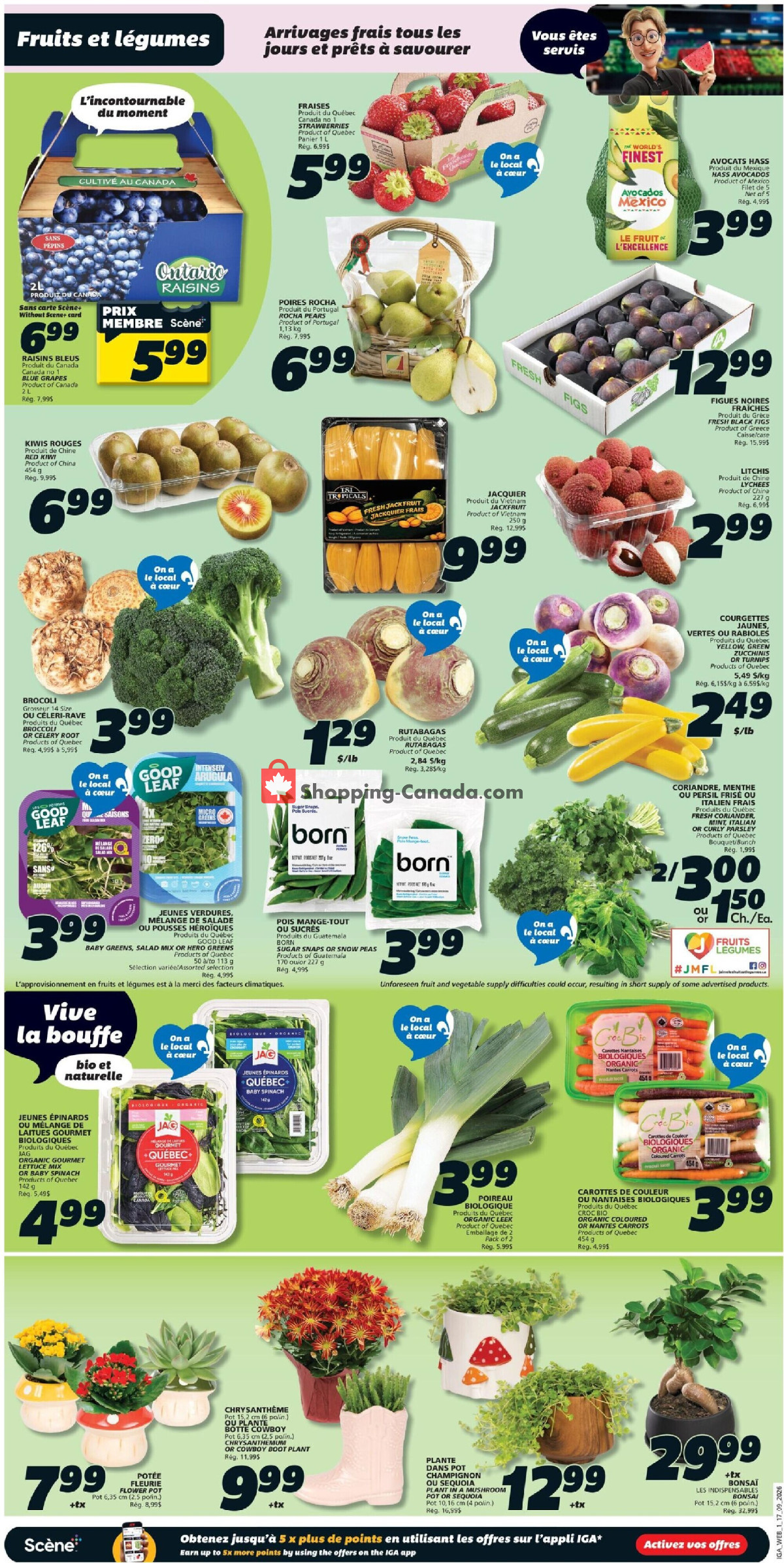 IGA Extra flyer from Thursday September 17, 2026 to Wednesday September 23, 2026 - page 3