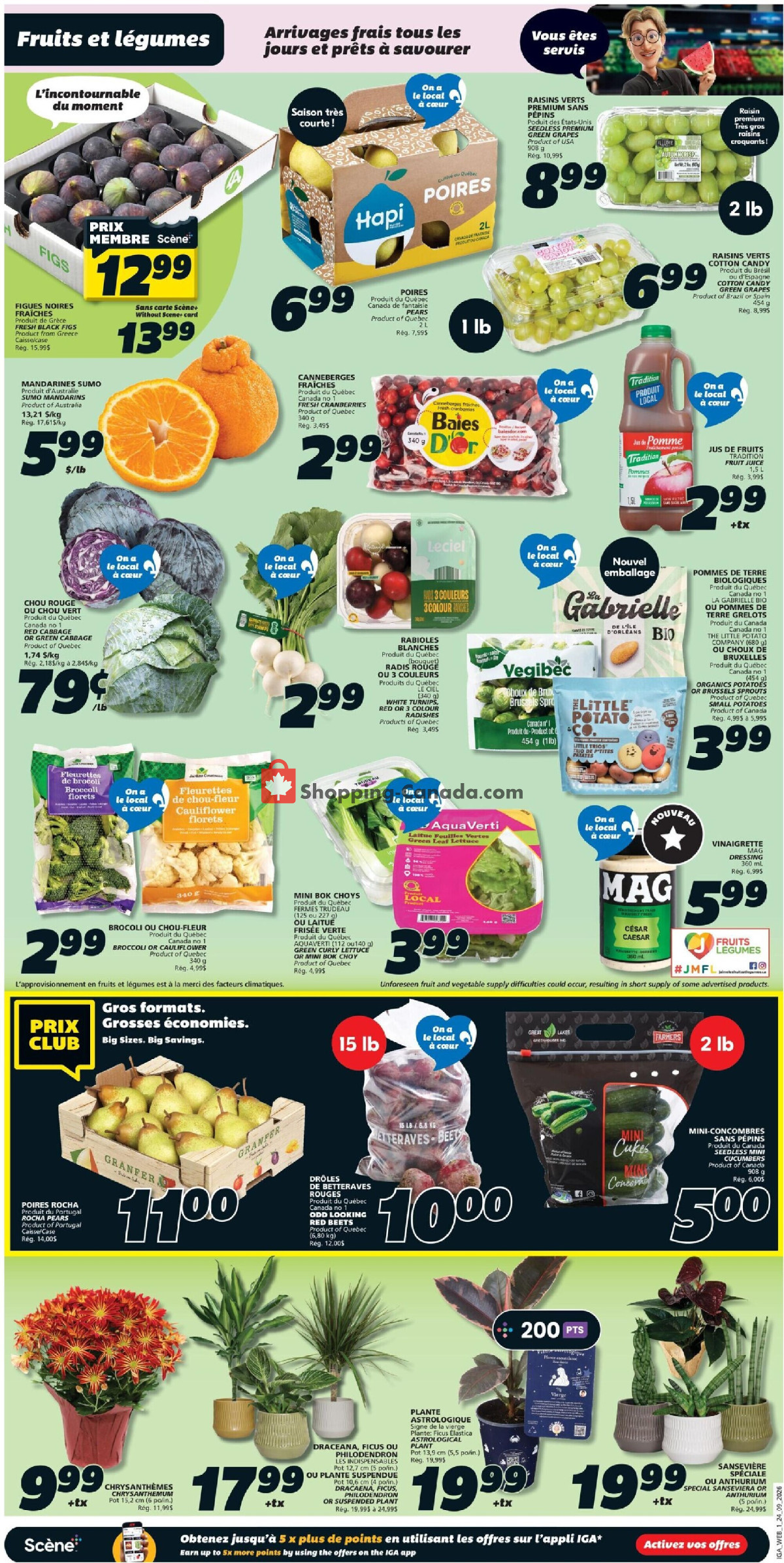 IGA Extra flyer from Thursday September 24, 2026 to Wednesday September 30, 2026 - page 3