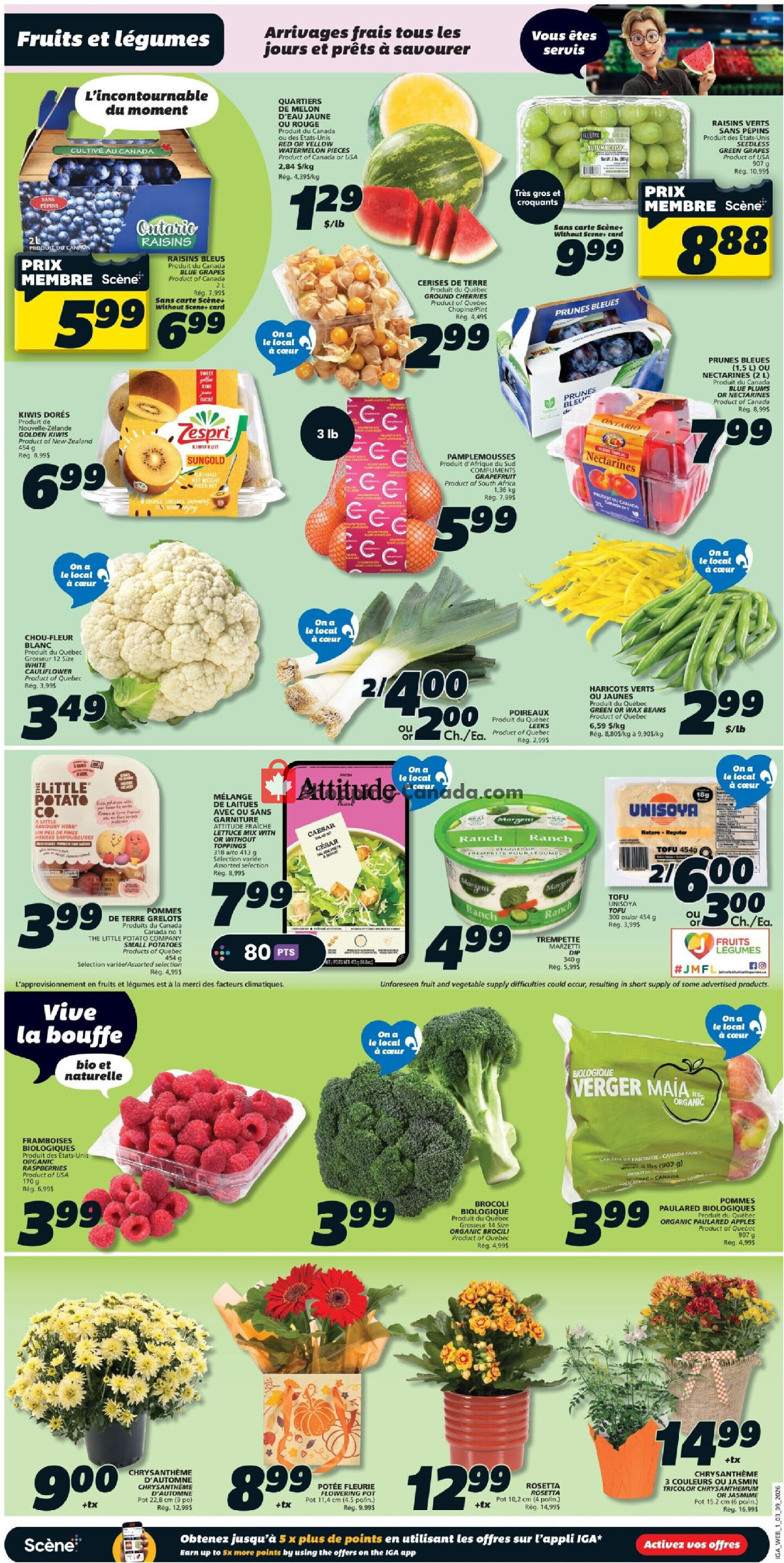 IGA Extra flyer from Thursday September 3, 2026 to Wednesday September 9, 2026 - page 6