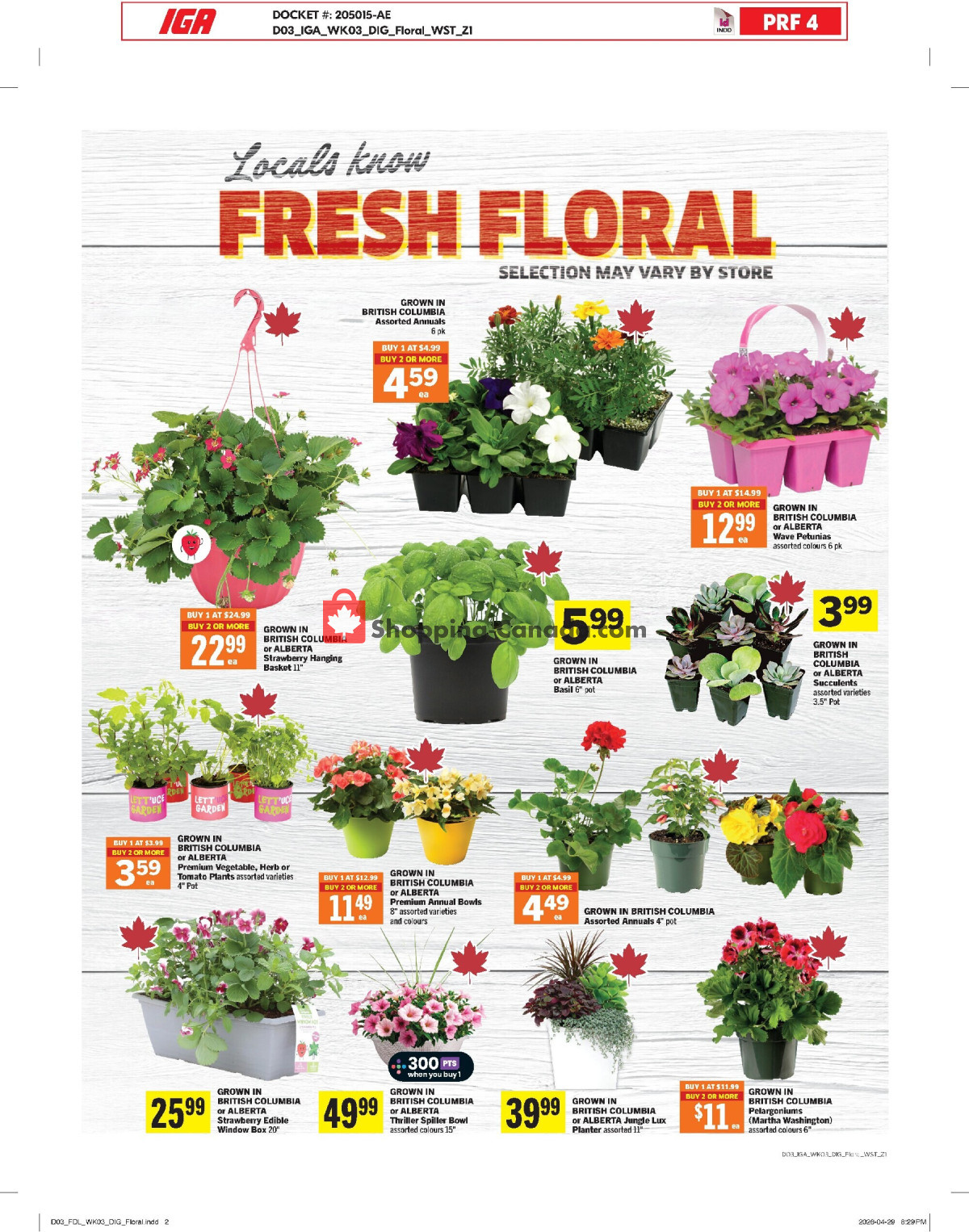 IGA Extra flyer from Thursday May 14, 2026 to Wednesday May 20, 2026 - page 10
