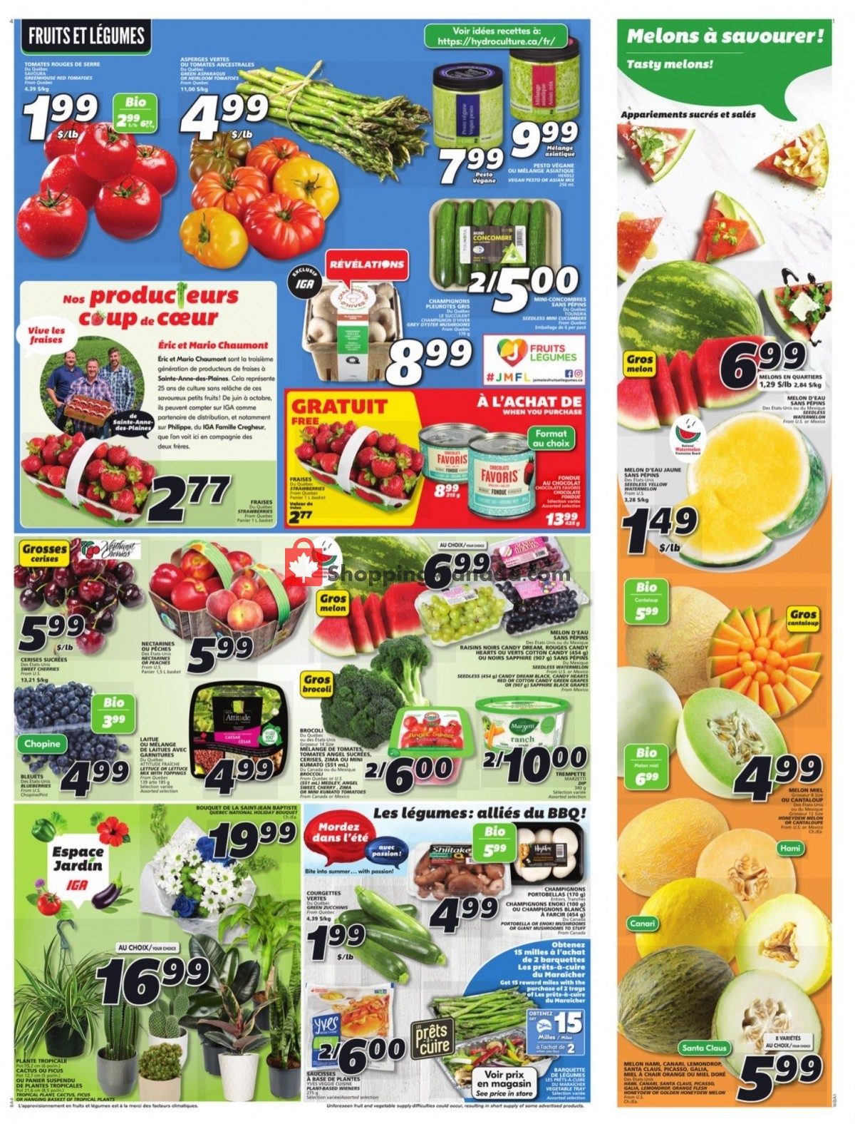 IGA Extra flyer from Thursday June 23, 2022 to Wednesday June 29, 2022 - page 5