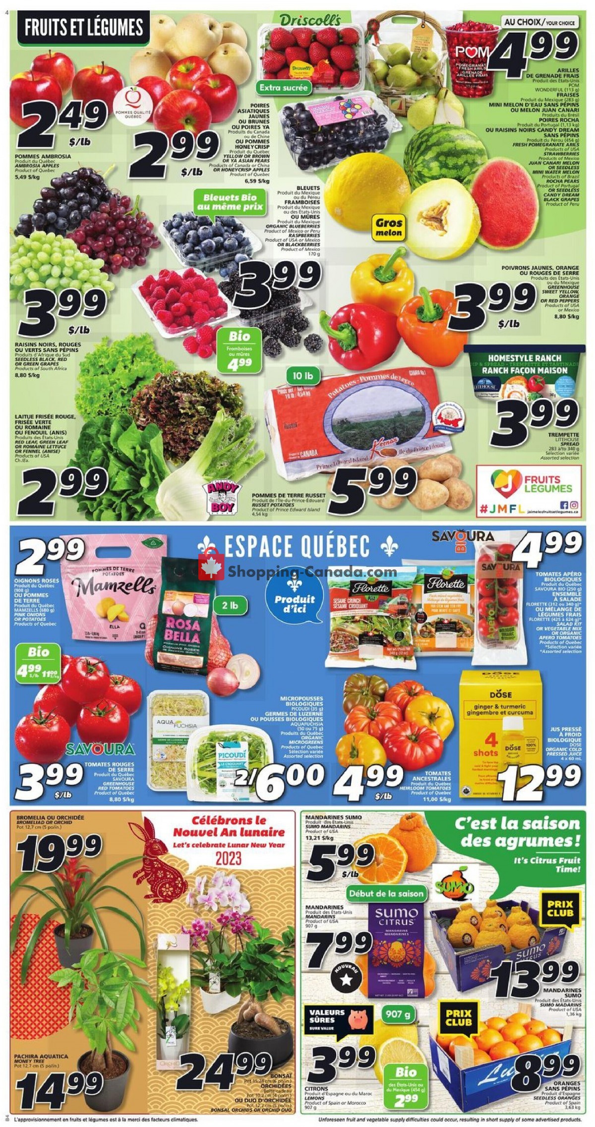 IGA Extra flyer from Thursday January 19, 2023 to Wednesday January 25, 2023 - page 7