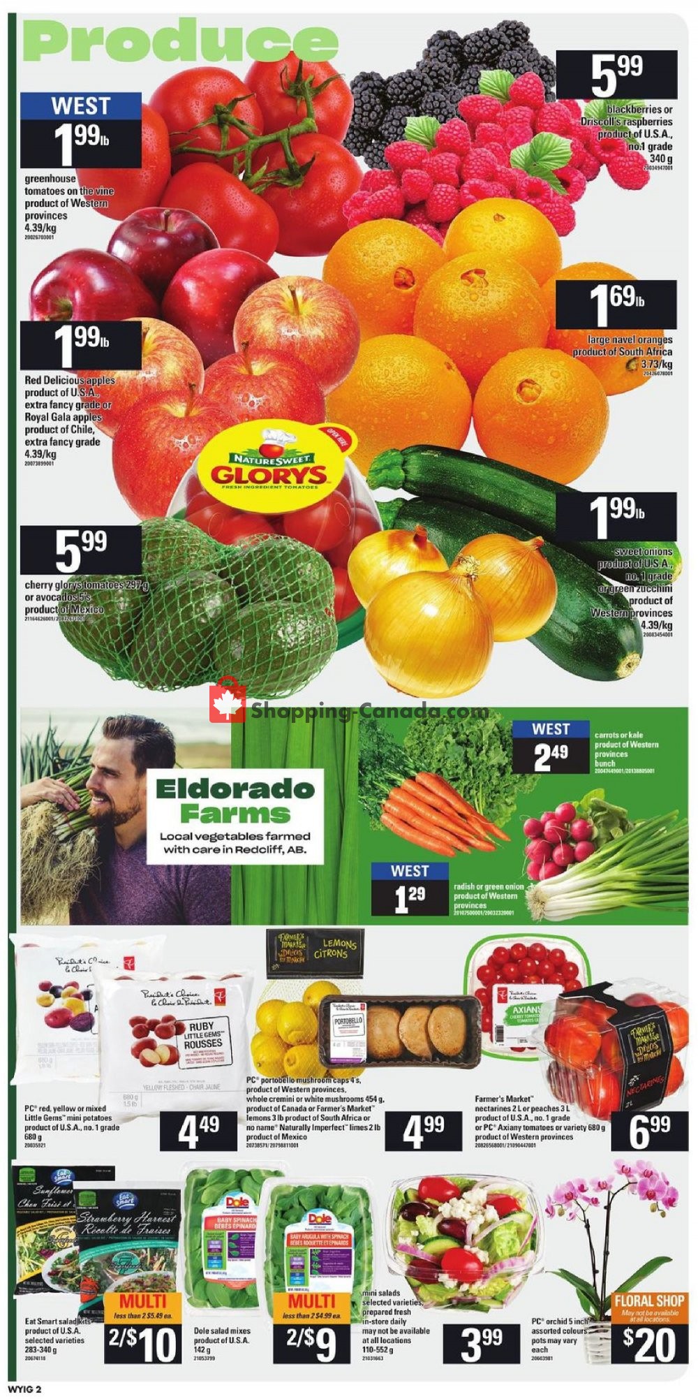Your Independent Grocer flyer from Thursday July 11, 2019 to Wednesday July 17, 2019 - page 2