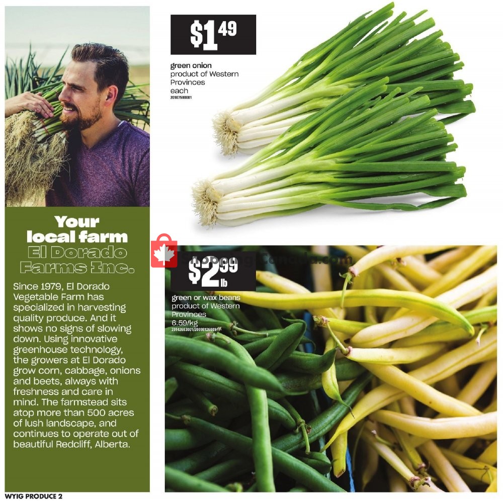 Your Independent Grocer flyer from Thursday September 12, 2019 to Wednesday September 18, 2019 - page 2
