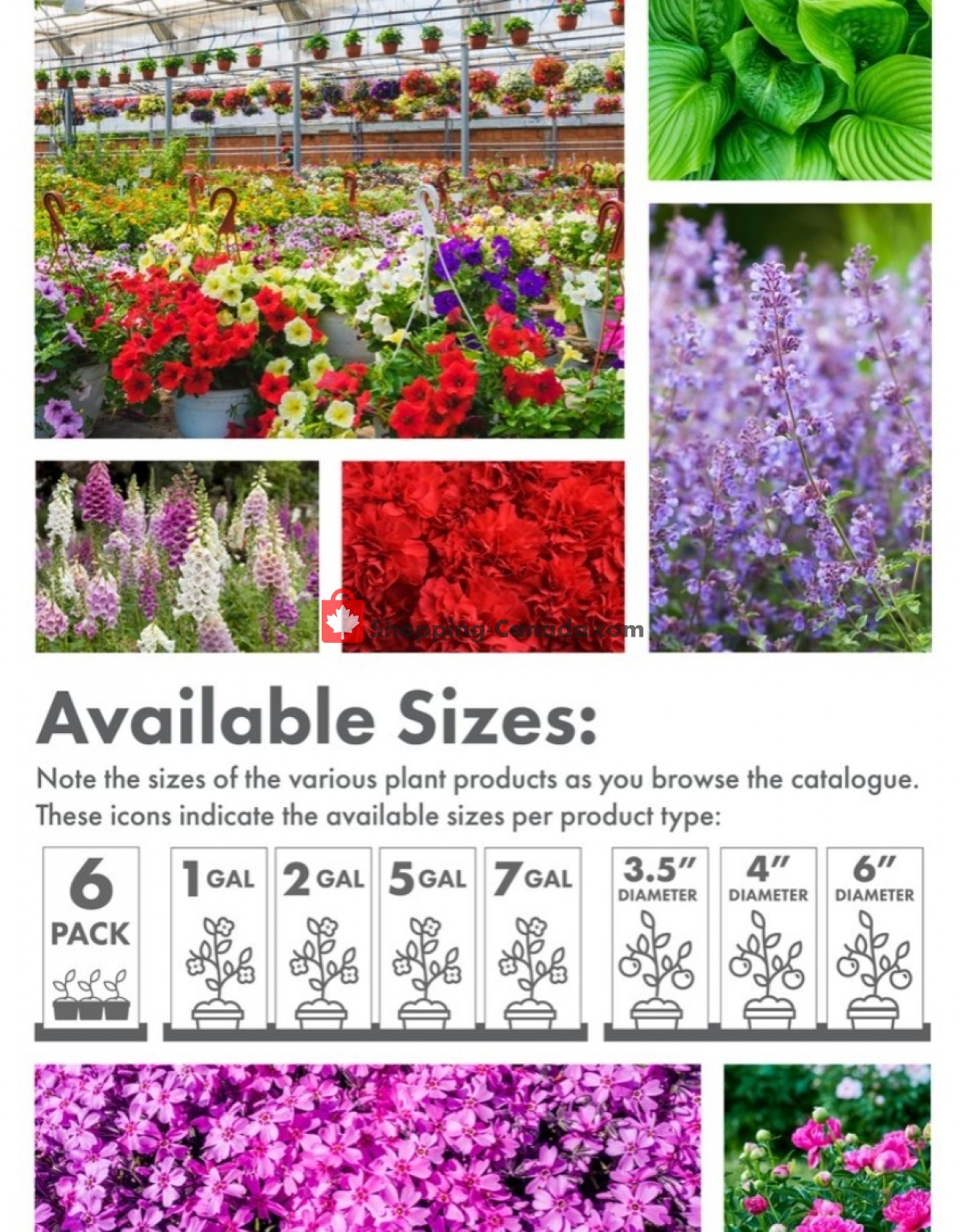 Kent Building Supplies flyer from Thursday May 6, 2021 to Wednesday July 14, 2021 - page 3