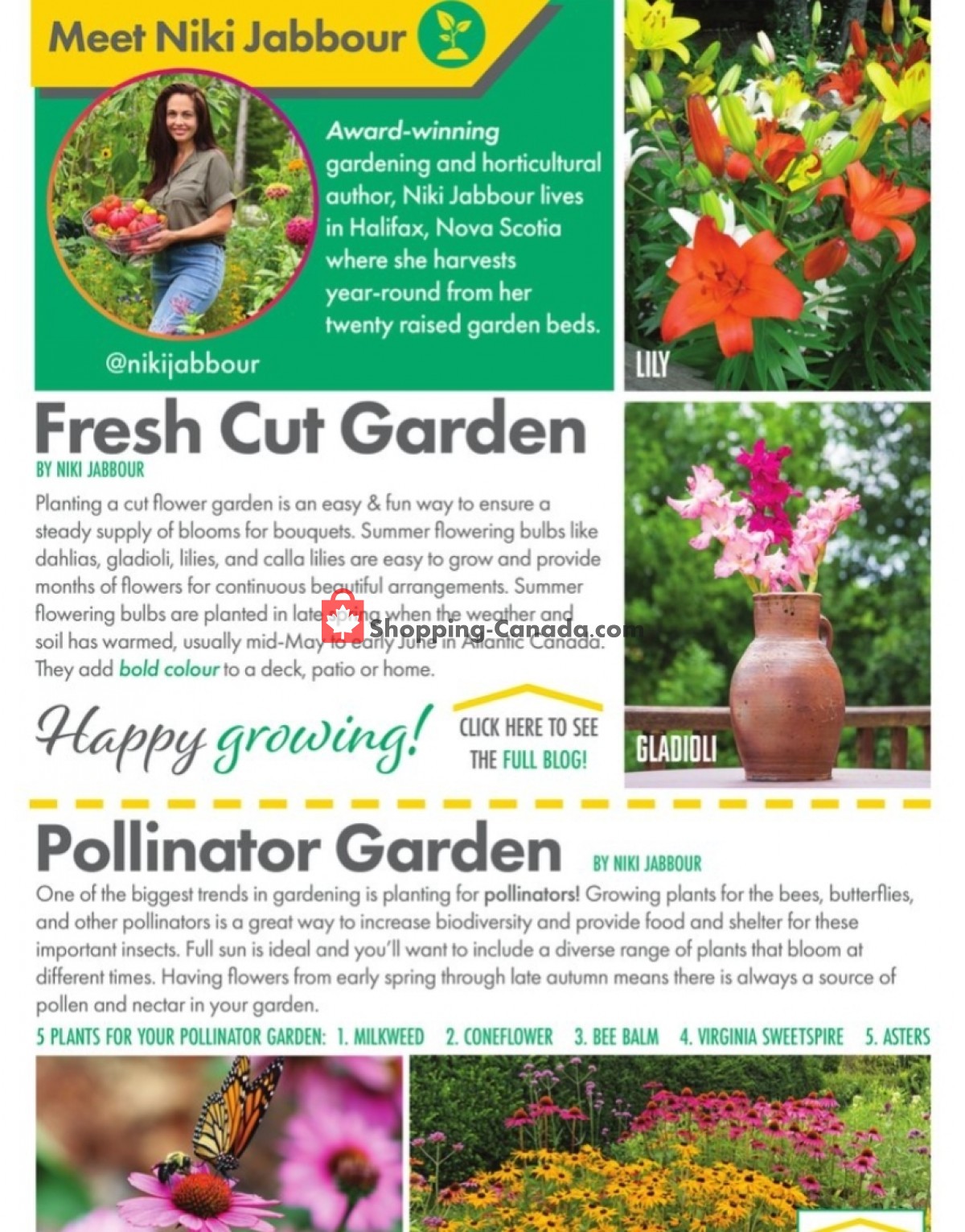 Kent Building Supplies flyer from Thursday May 6, 2021 to Wednesday July 14, 2021 - page 4